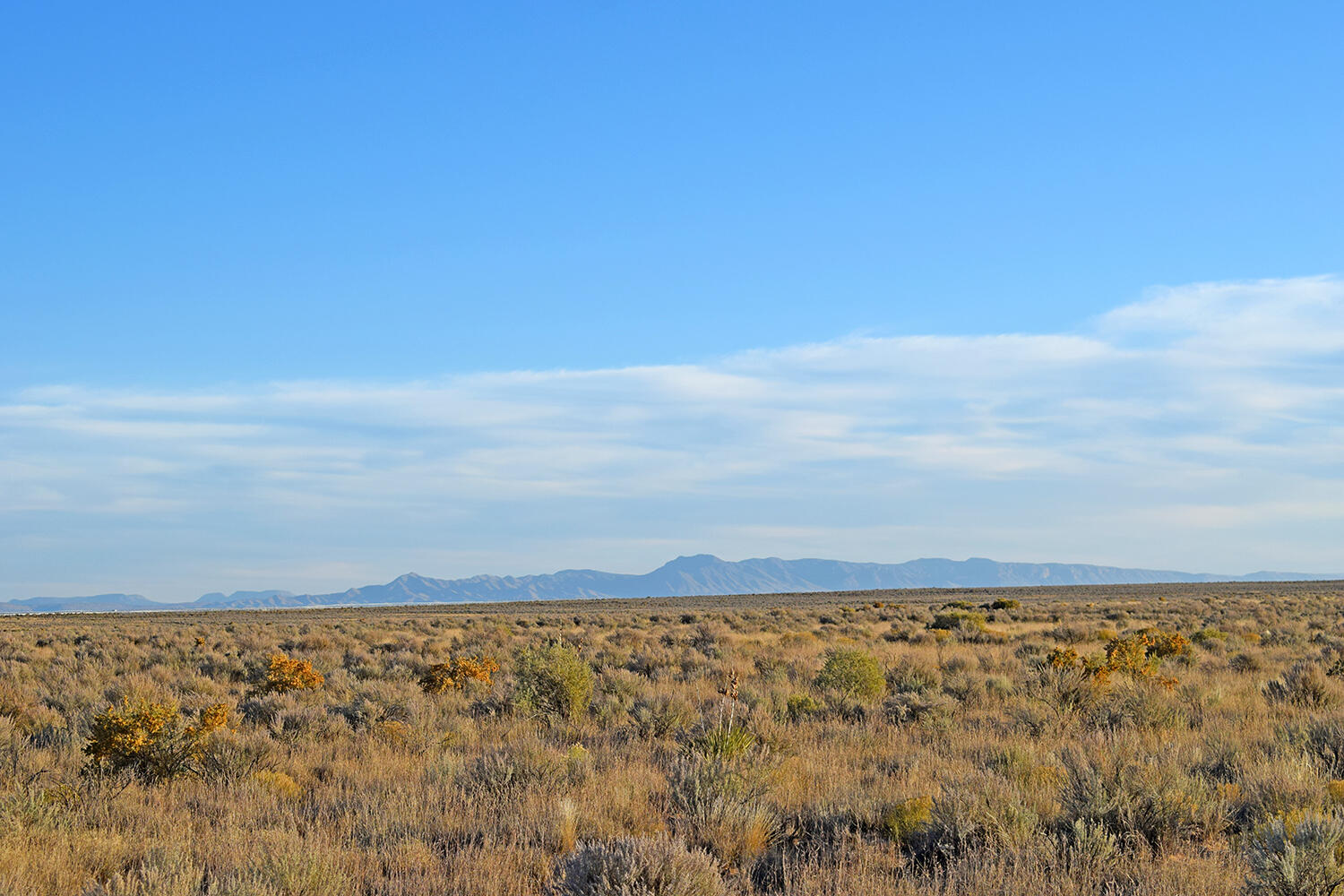 Lot 4 Rio Del Oro #61, Los Lunas, New Mexico image 11