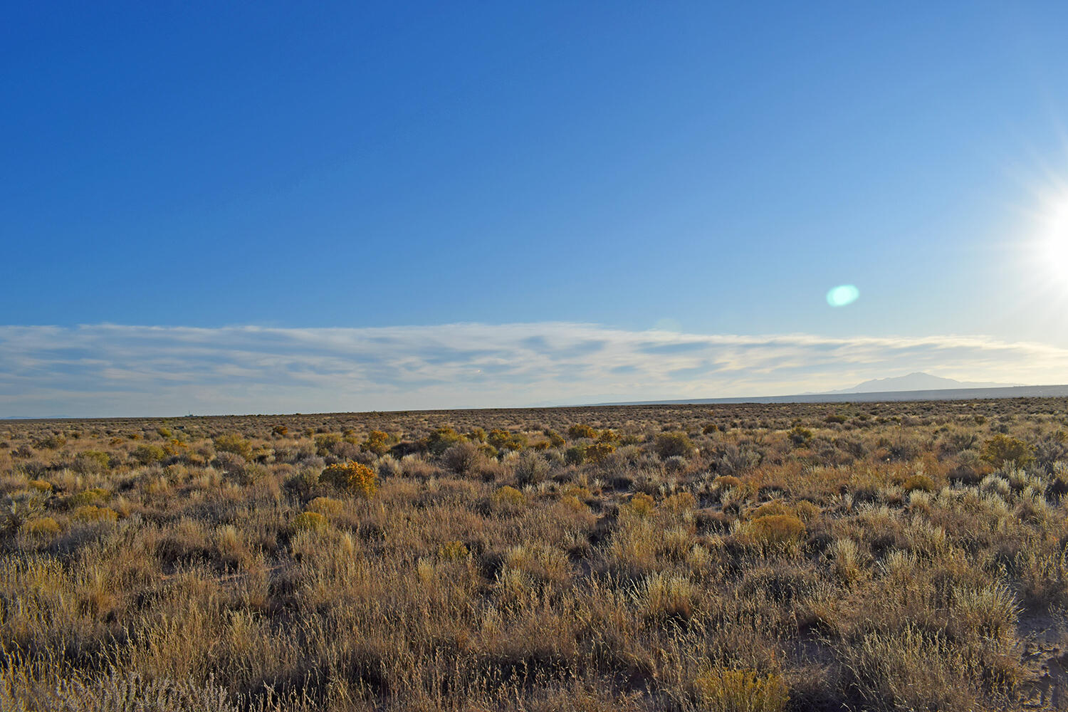 Lot 4 Rio Del Oro #61, Los Lunas, New Mexico image 3