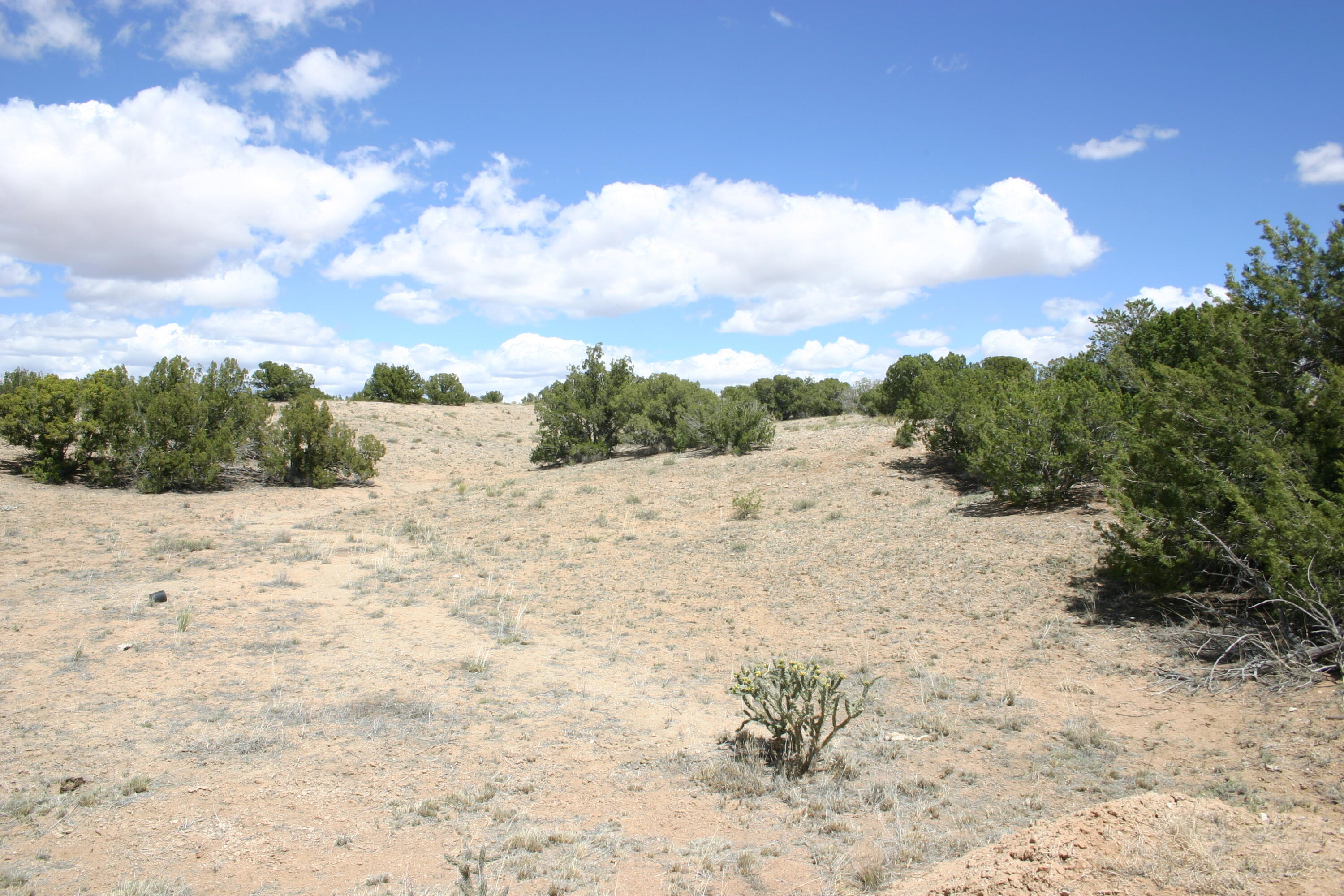 Budagher (16) Boulevard, Algodones, New Mexico image 6