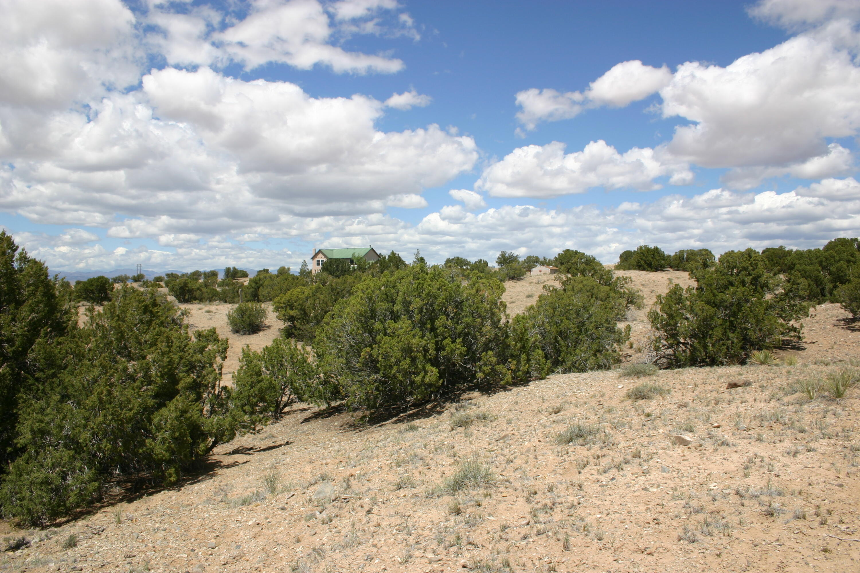 Budagher (16) Boulevard, Algodones, New Mexico image 9