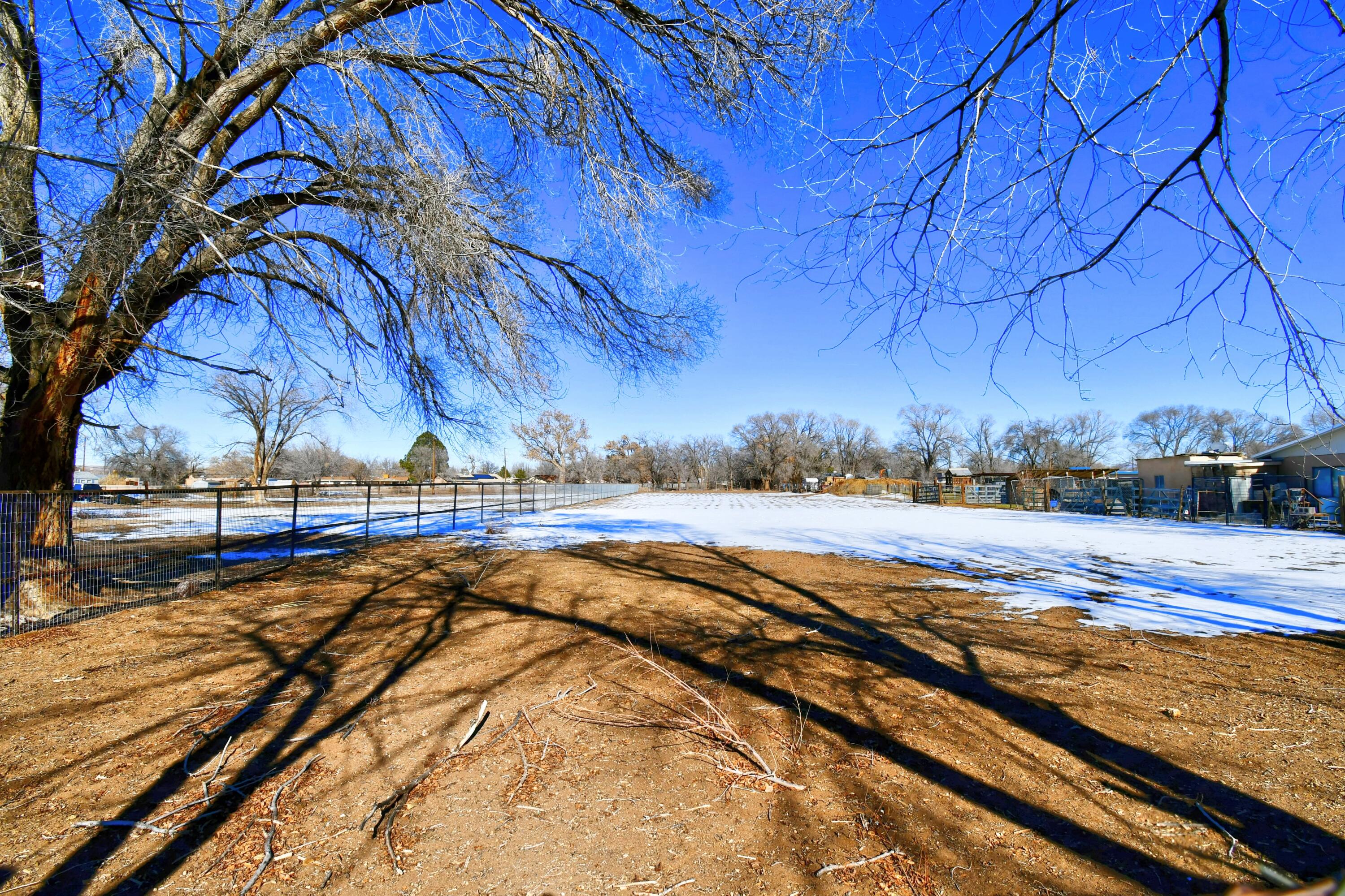 2437 Metzgar Road, Albuquerque, New Mexico image 4