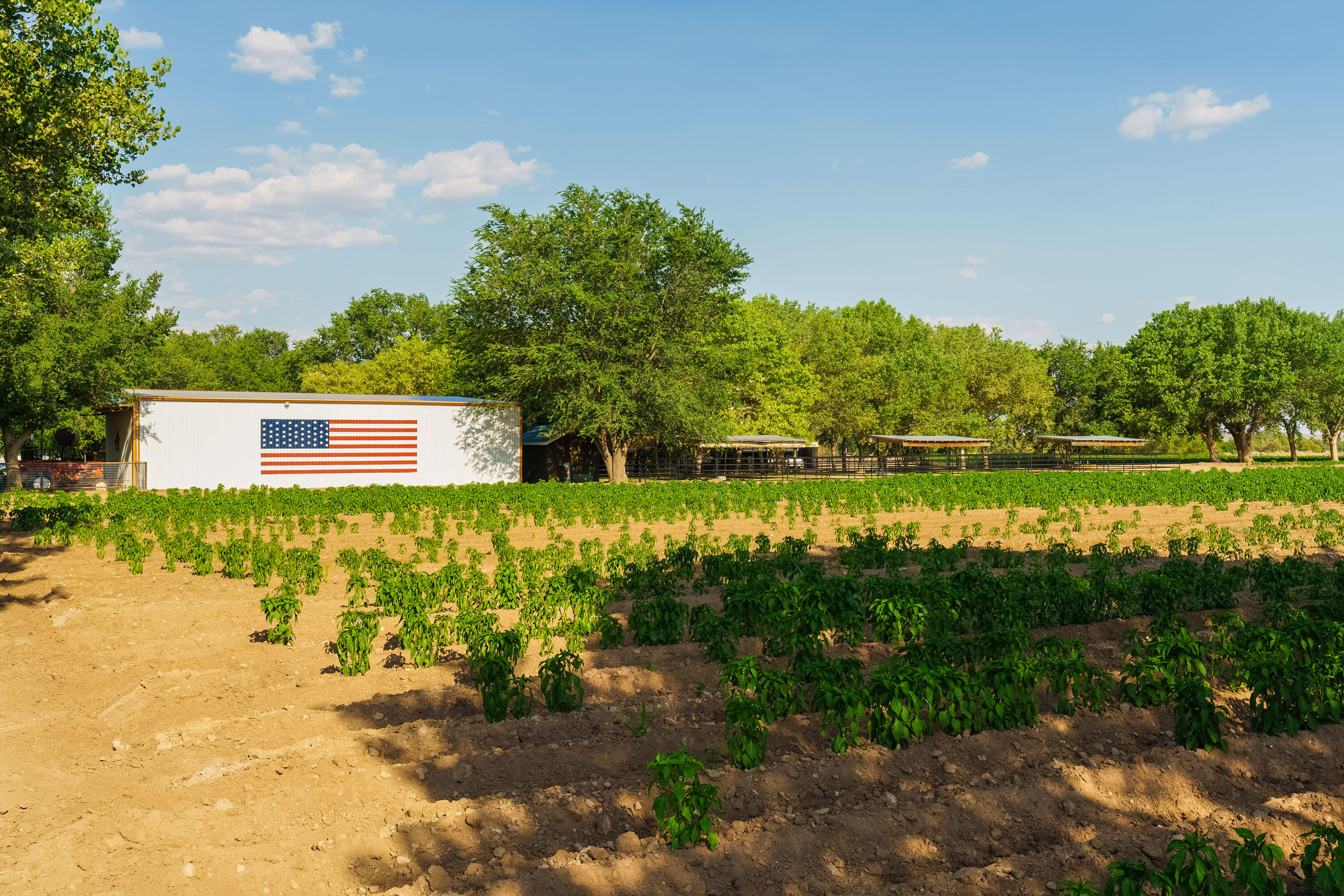 26 Schmittle Road, Socorro, New Mexico image 5