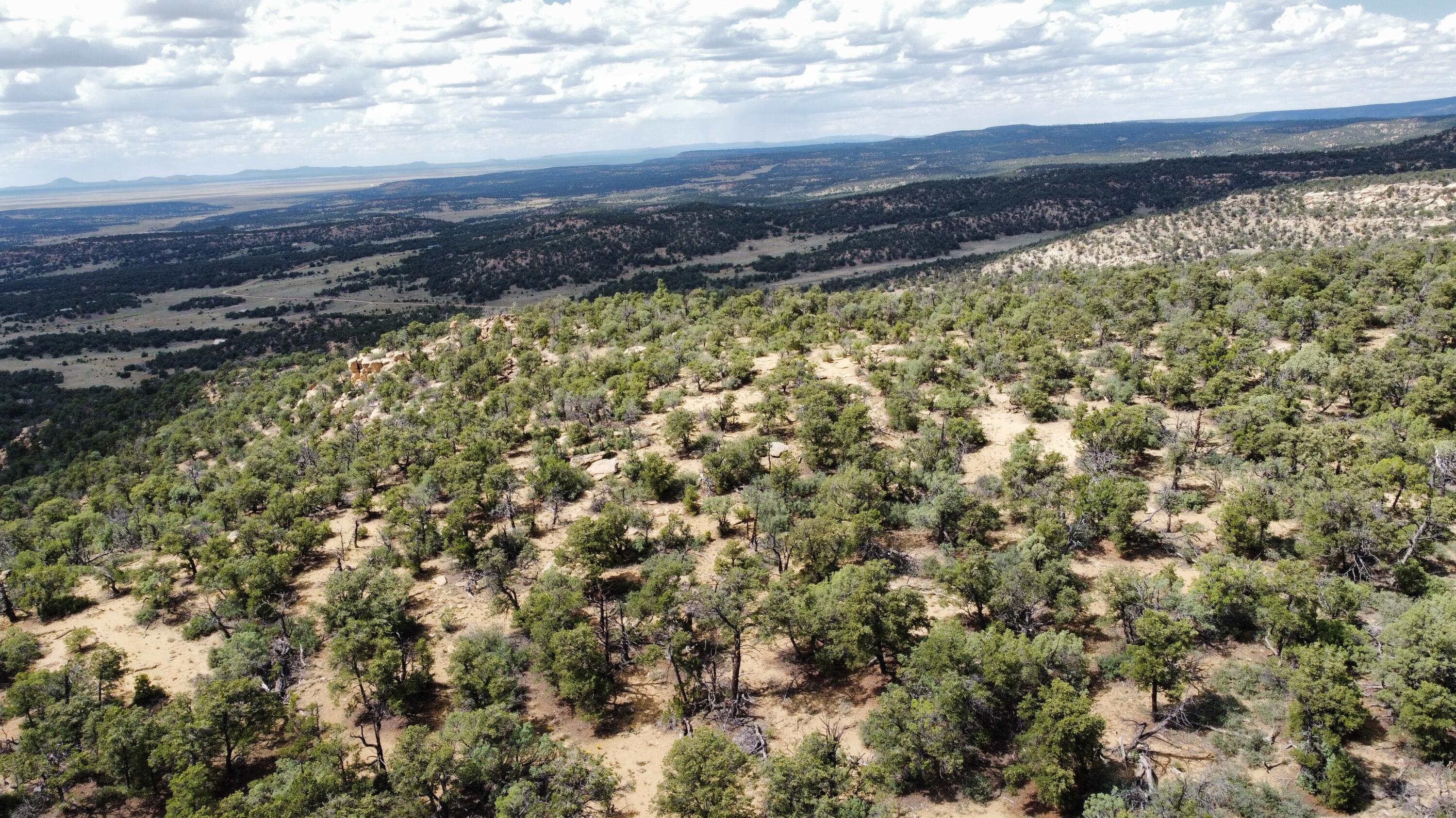 Lot 5 Cattlemens Court, Pie Town, New Mexico image 12