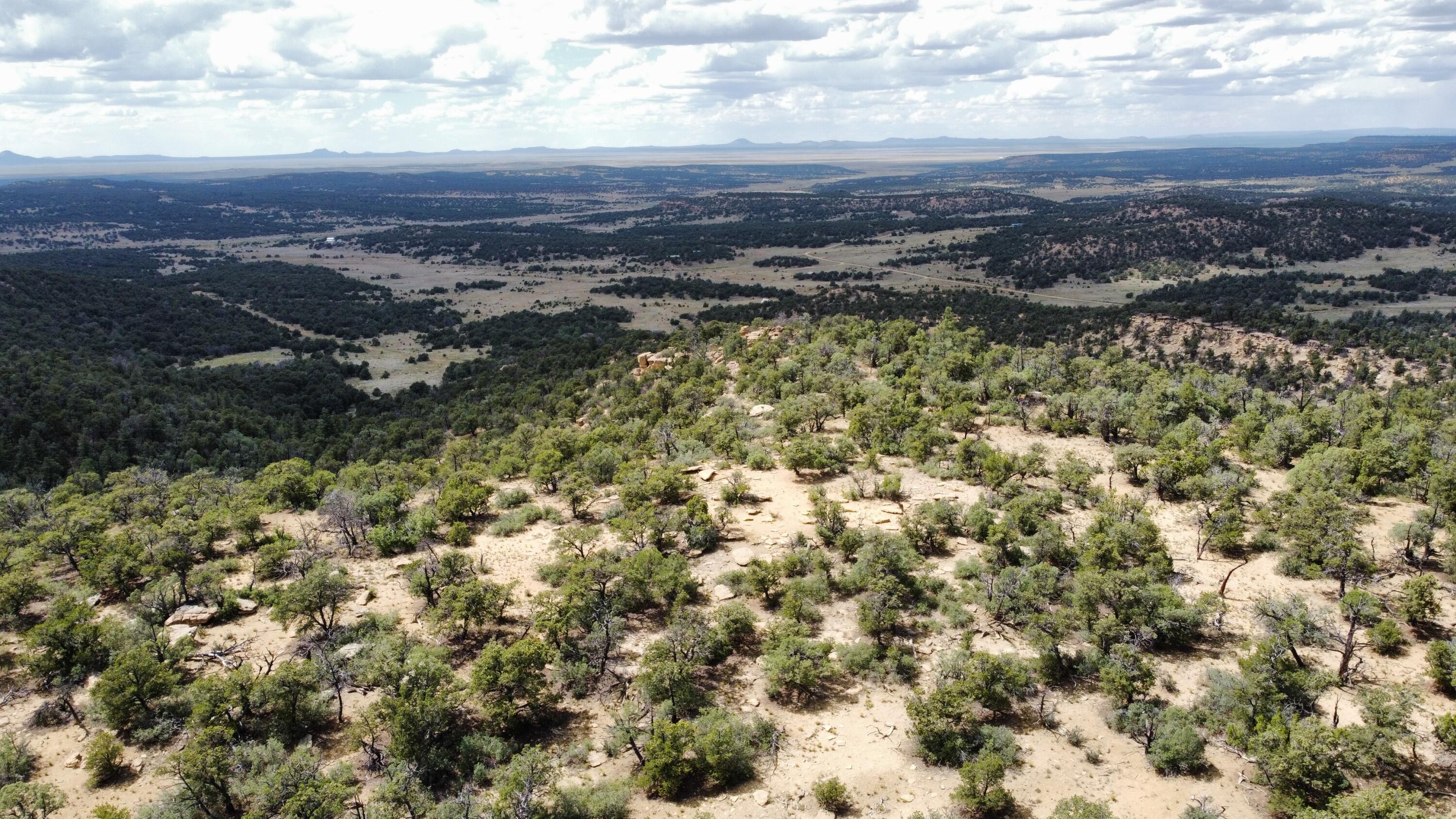 Lot 5 Cattlemens Court, Pie Town, New Mexico image 5