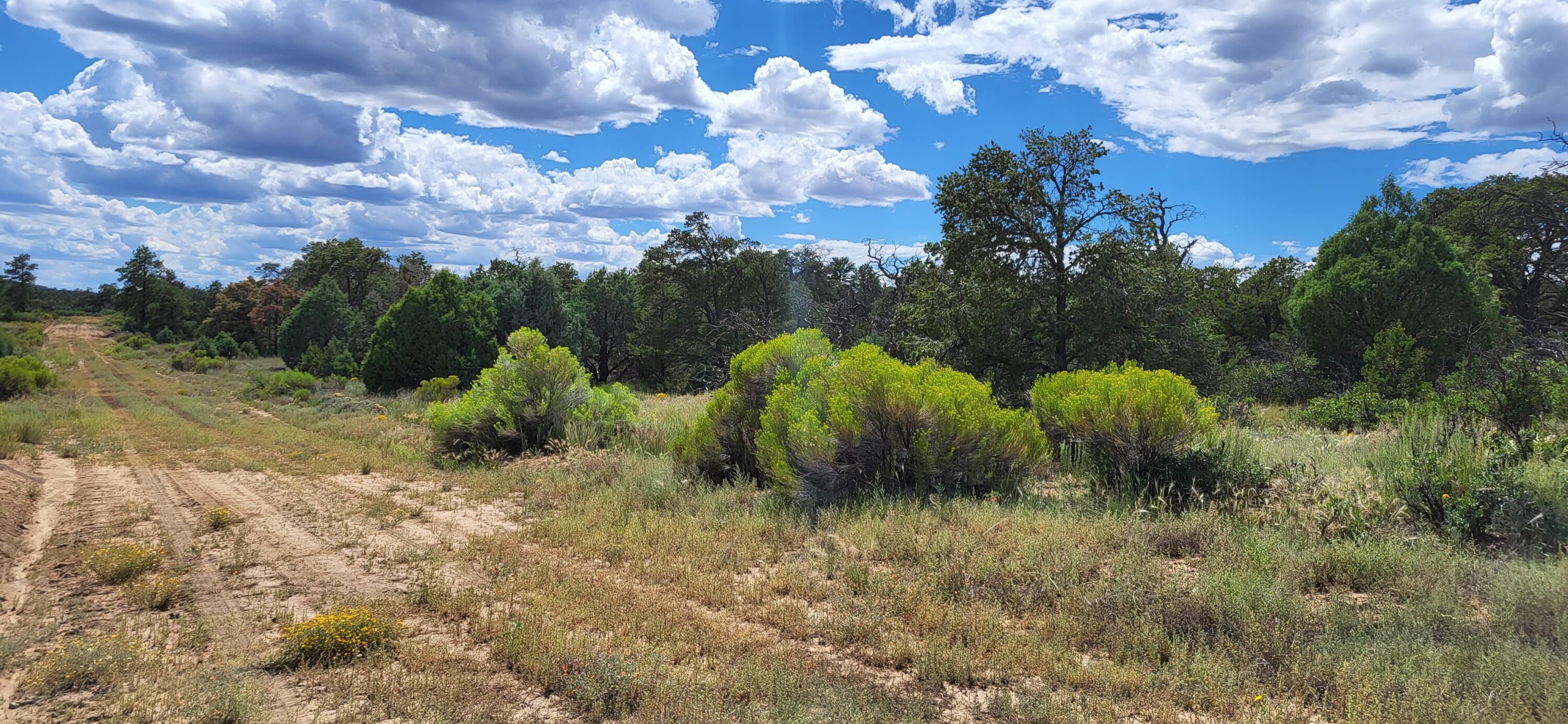 Lot 5 Cattlemens Court, Pie Town, New Mexico image 11