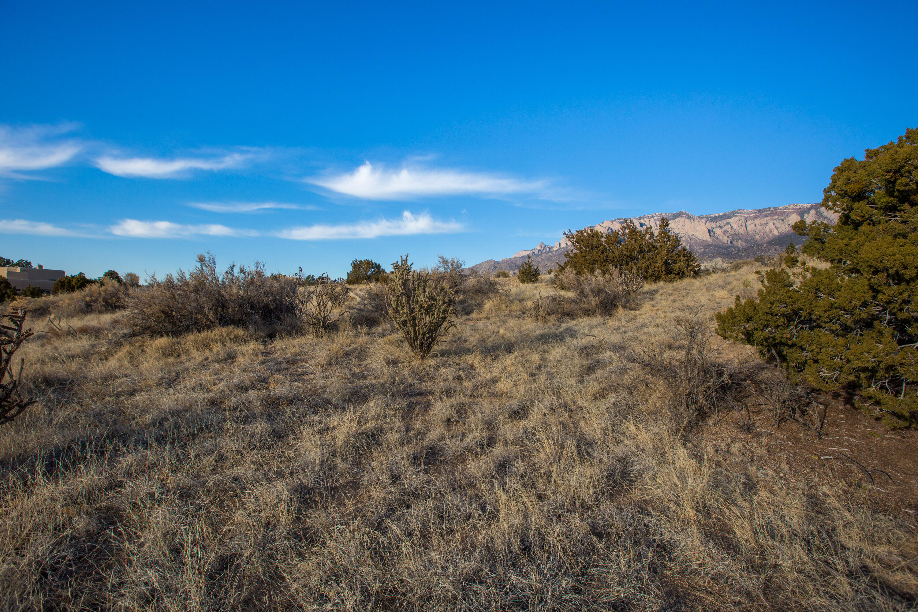 6309 Gambel Oak Court, Albuquerque, New Mexico image 9