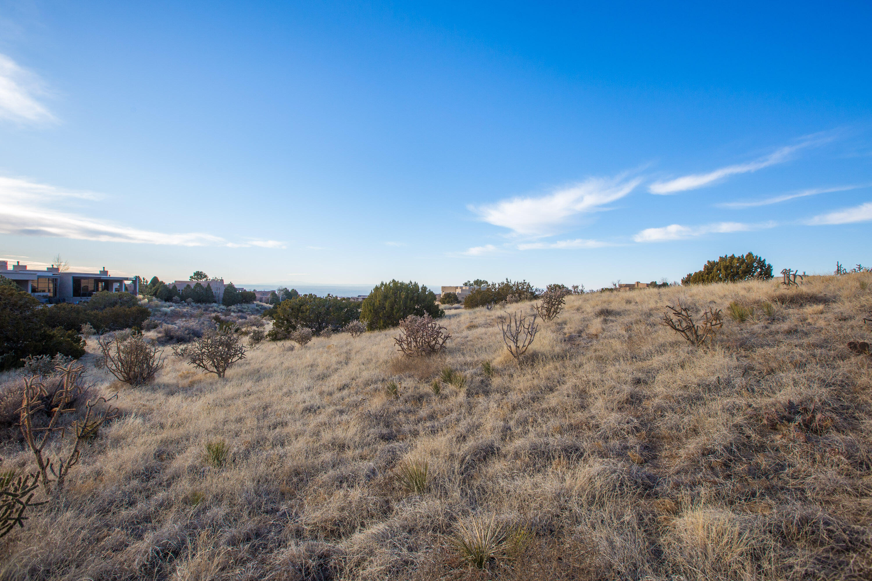 6309 Gambel Oak Court, Albuquerque, New Mexico image 13