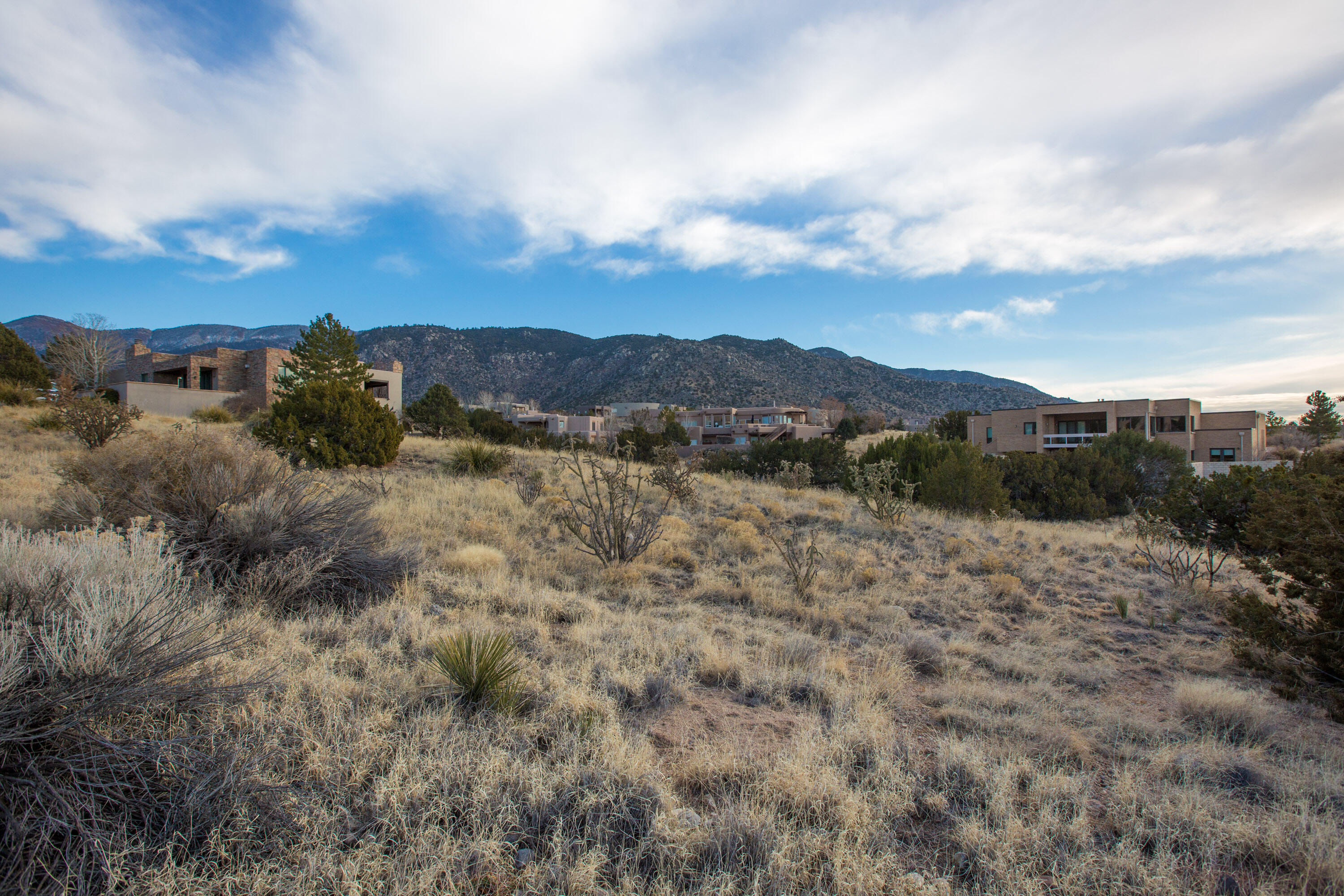 6309 Gambel Oak Court, Albuquerque, New Mexico image 6