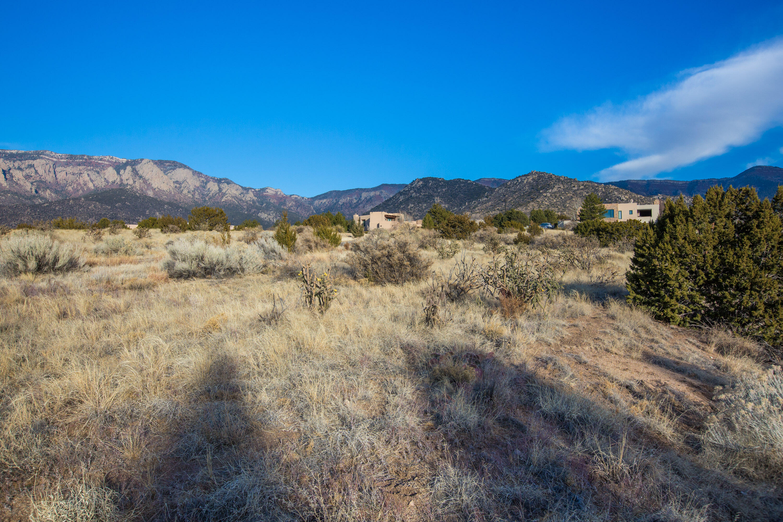 6309 Gambel Oak Court, Albuquerque, New Mexico image 8