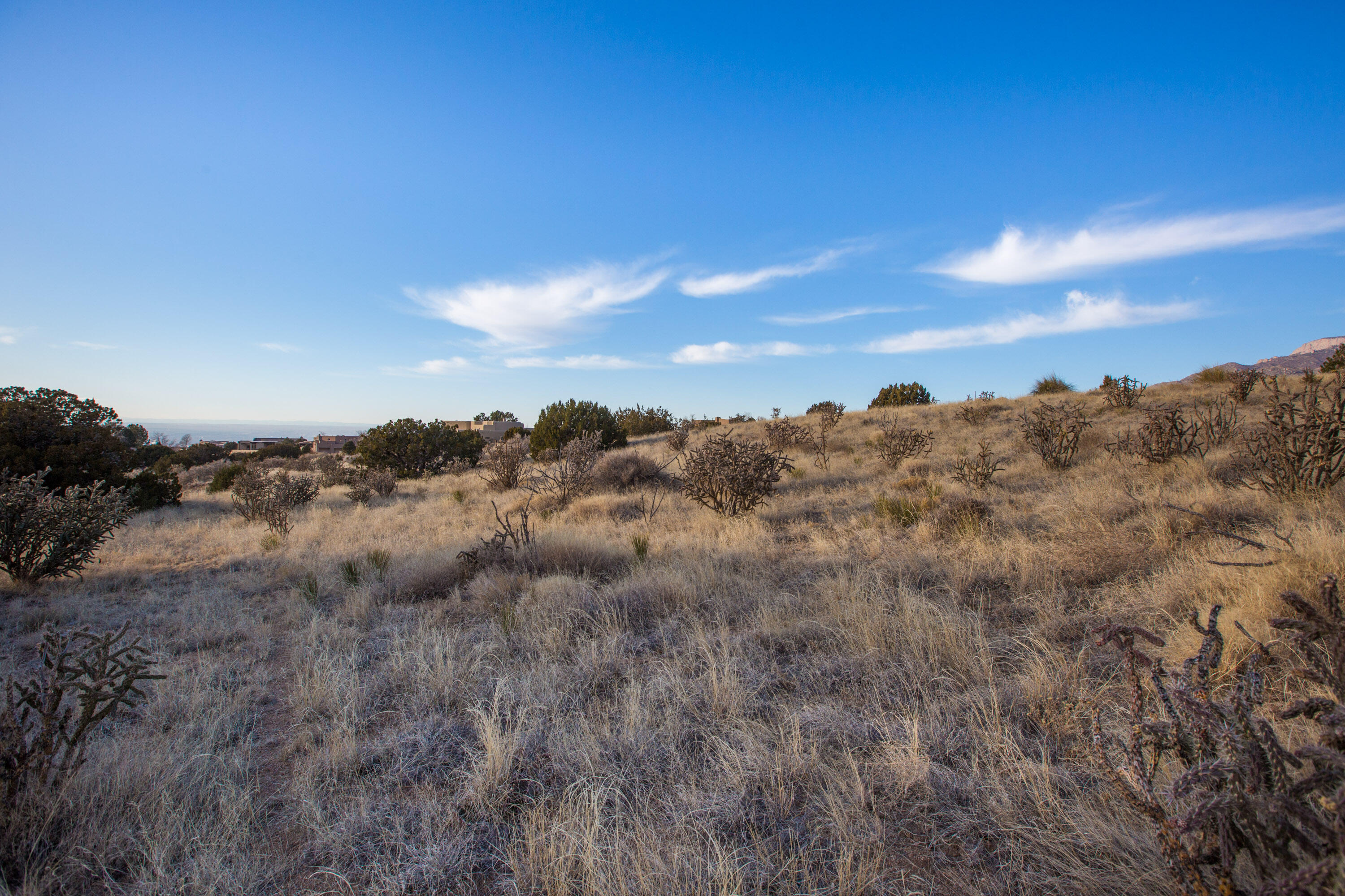 6309 Gambel Oak Court, Albuquerque, New Mexico image 11