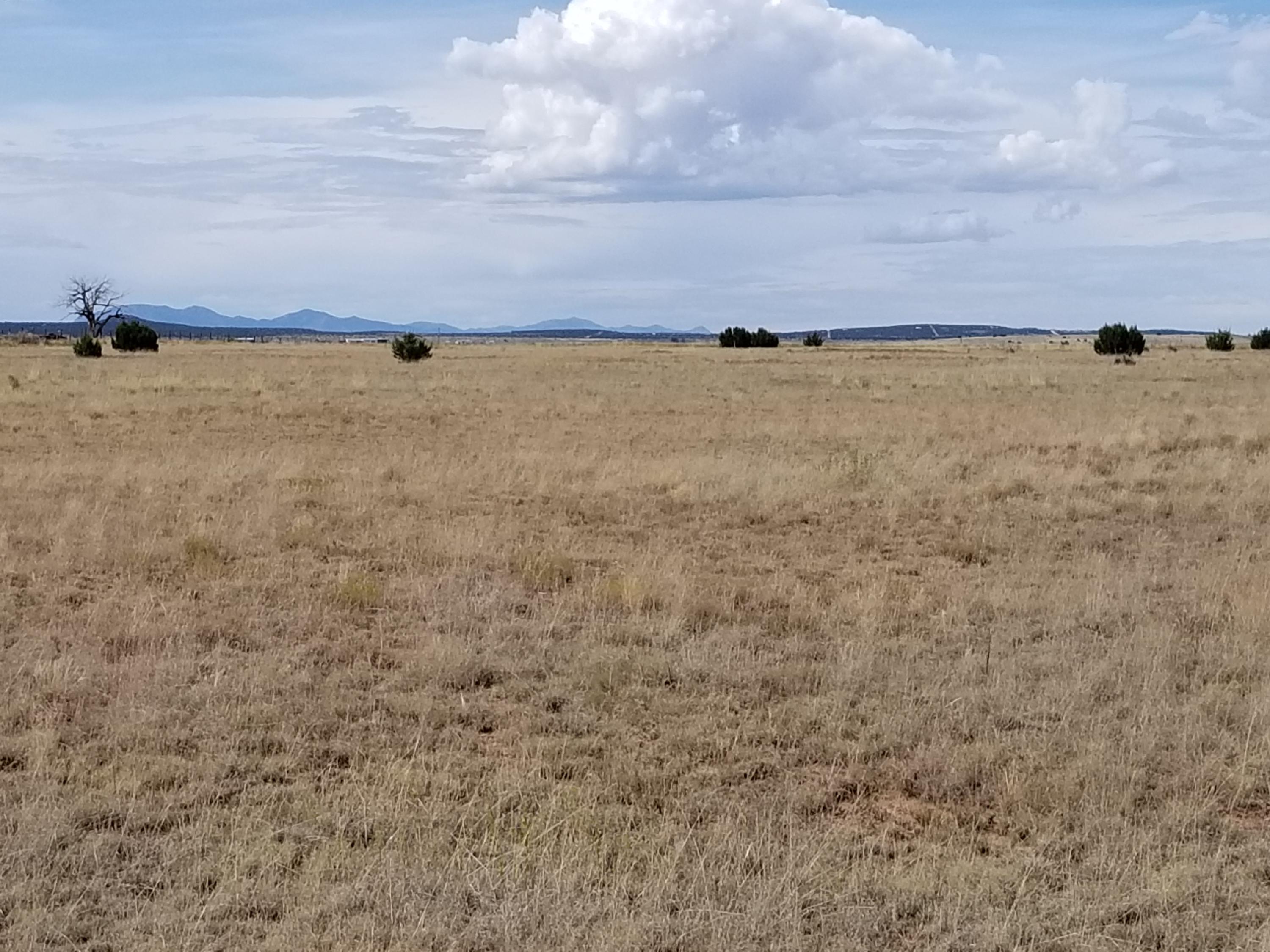 40 Giruado Road, Estancia, New Mexico image 1