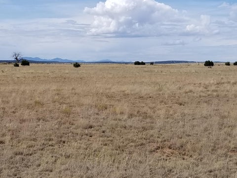 Vacant Land For Sale - 40 Giruado Road<br/> Torrance County, Estancia, NM 87016