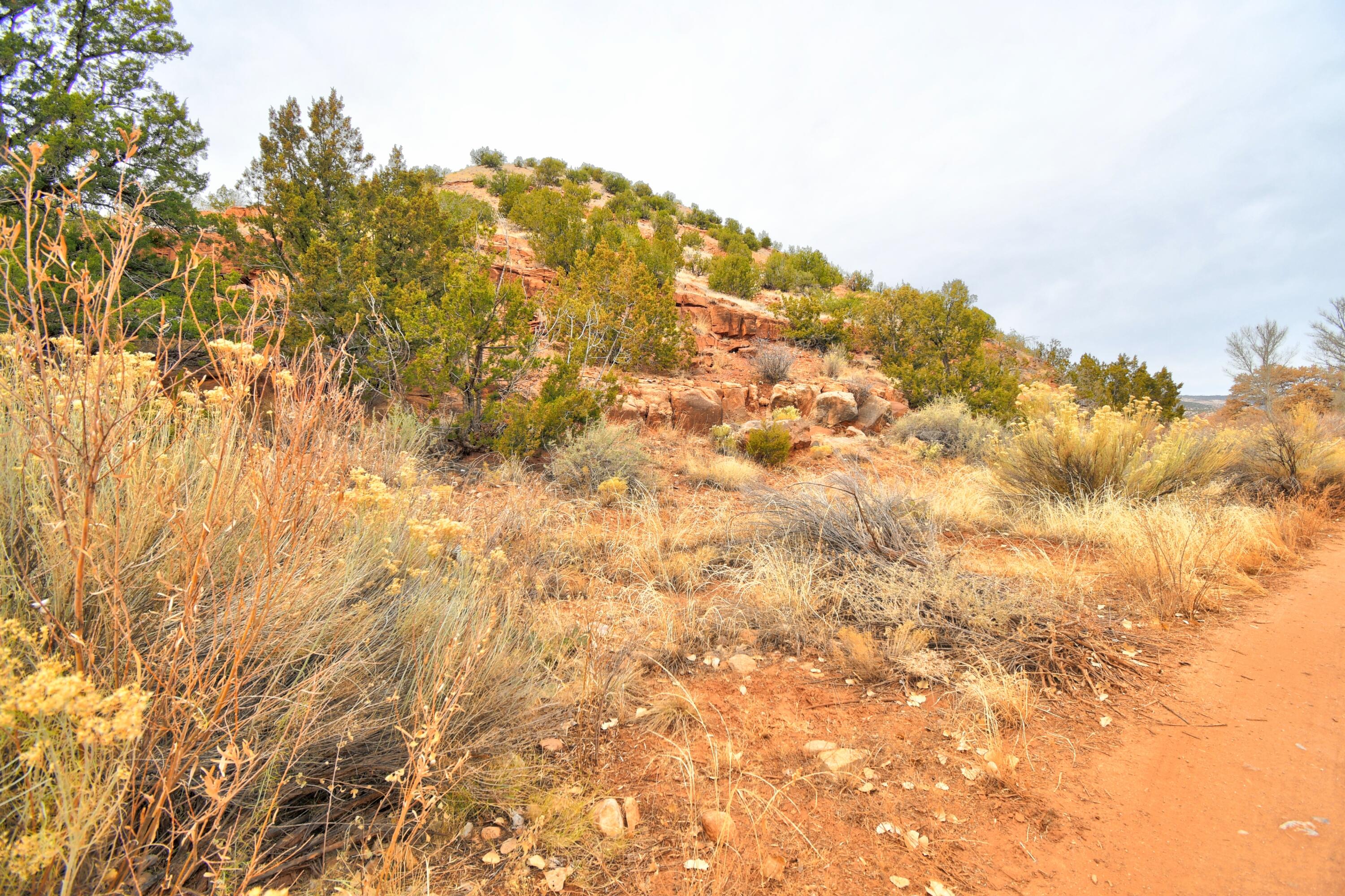 365 C De Baca Lane, Jemez Pueblo, New Mexico image 4