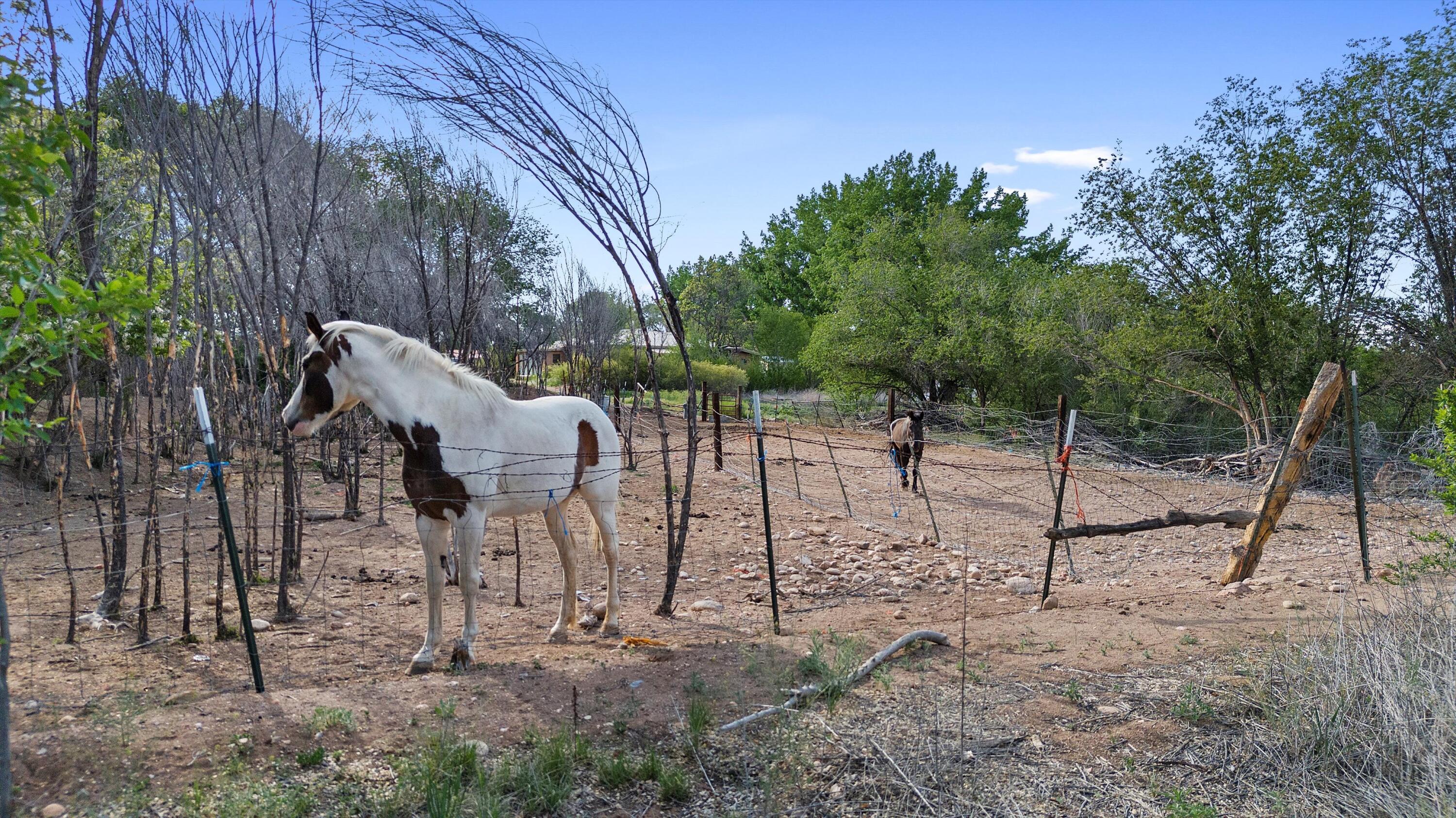 105 Camino Del Rincon, Santa Fe, New Mexico image 31