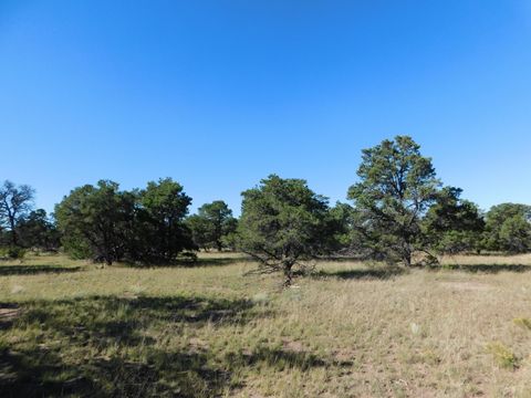 Vacant Land For Sale - 43 Brook Boulevard<br/> Quemado, NM 87829