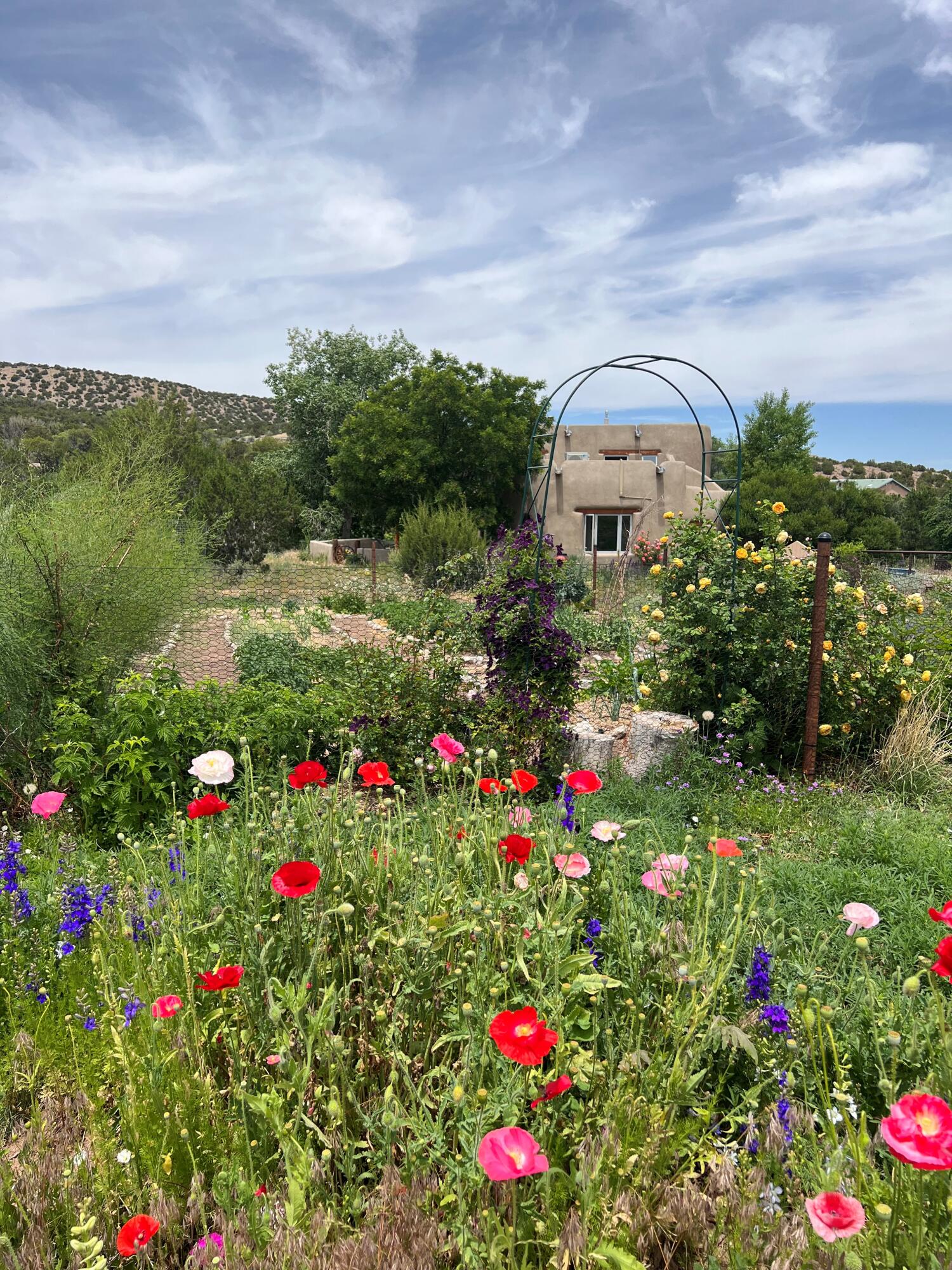 59 Perdiz Canyon Road, Placitas, New Mexico image 38