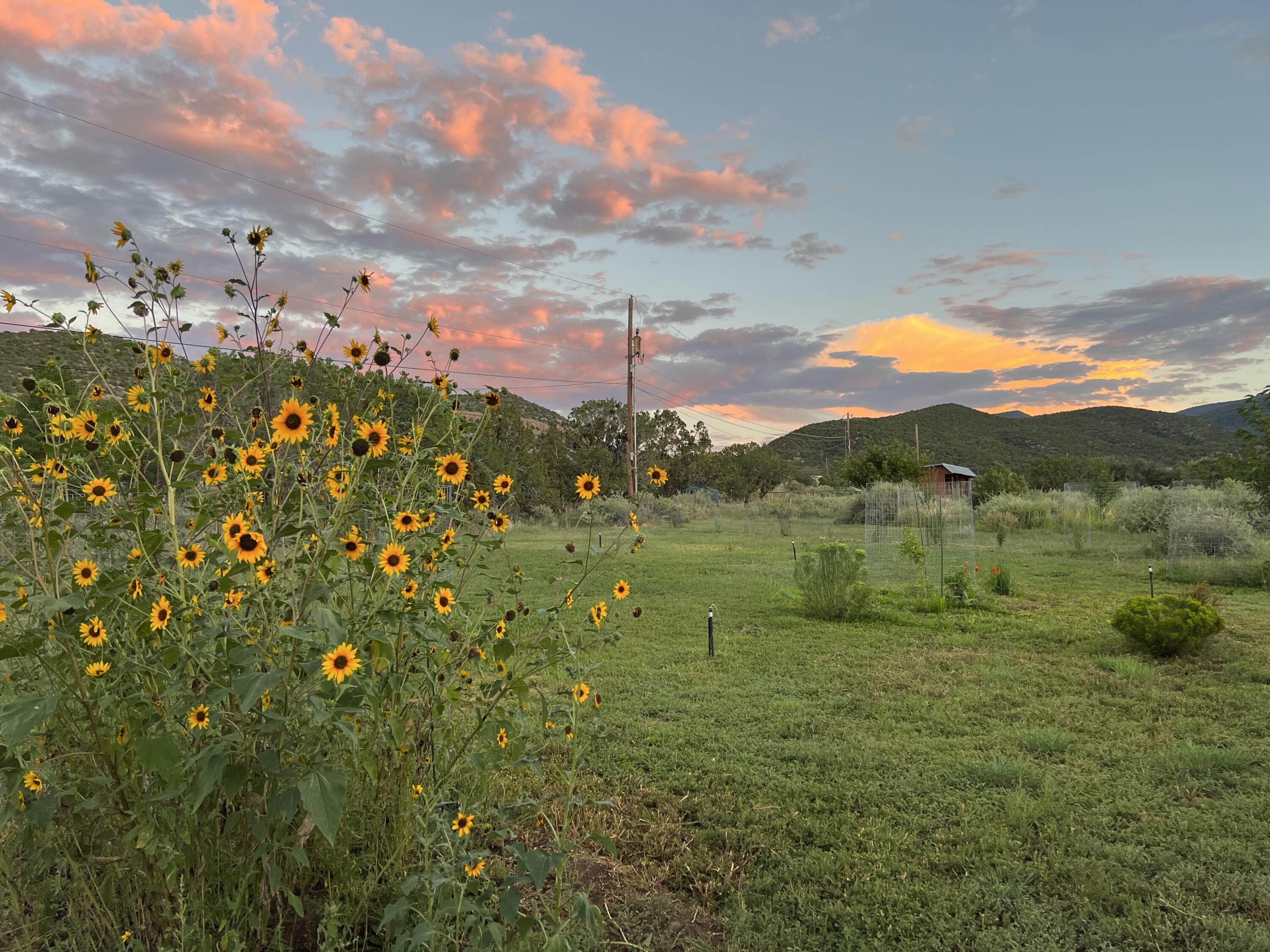 59 Perdiz Canyon Road, Placitas, New Mexico image 45