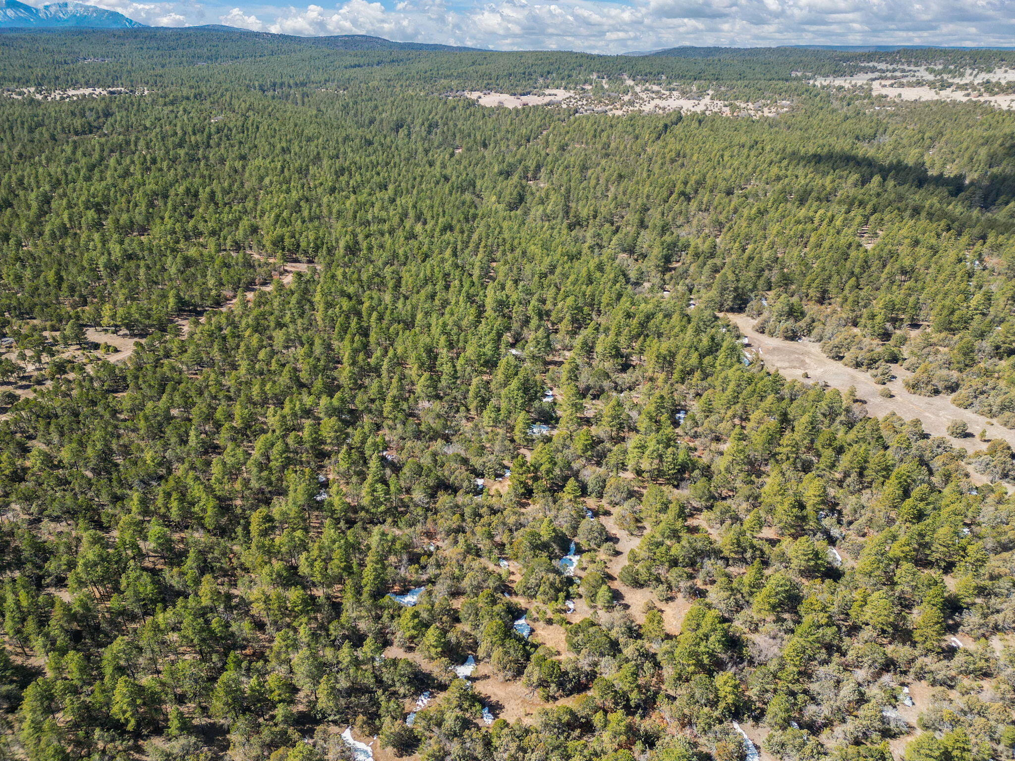 Raquel Road, Tijeras, New Mexico image 11