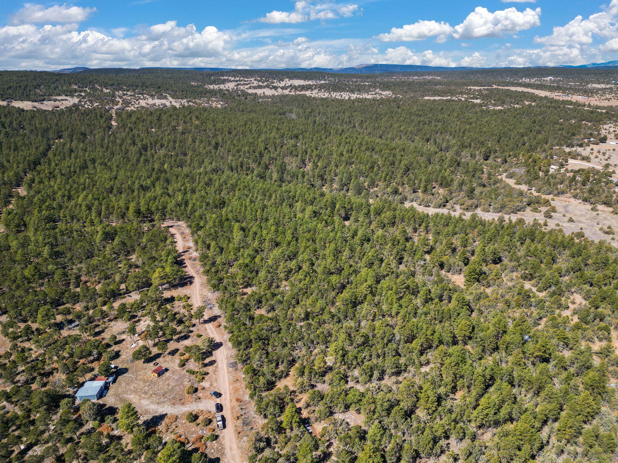 Raquel Road, Tijeras, New Mexico image 1