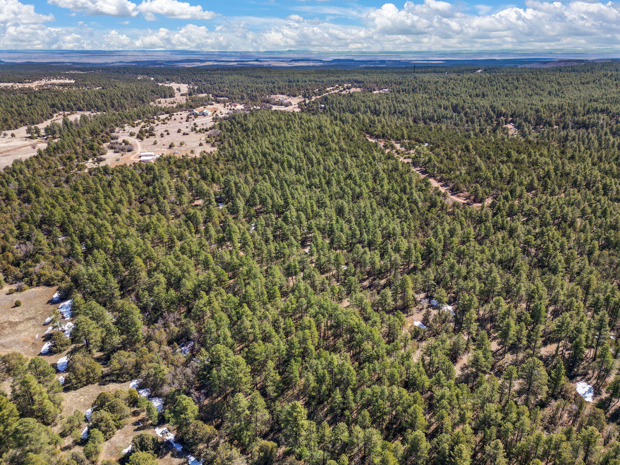 Raquel Road, Tijeras, New Mexico image 3