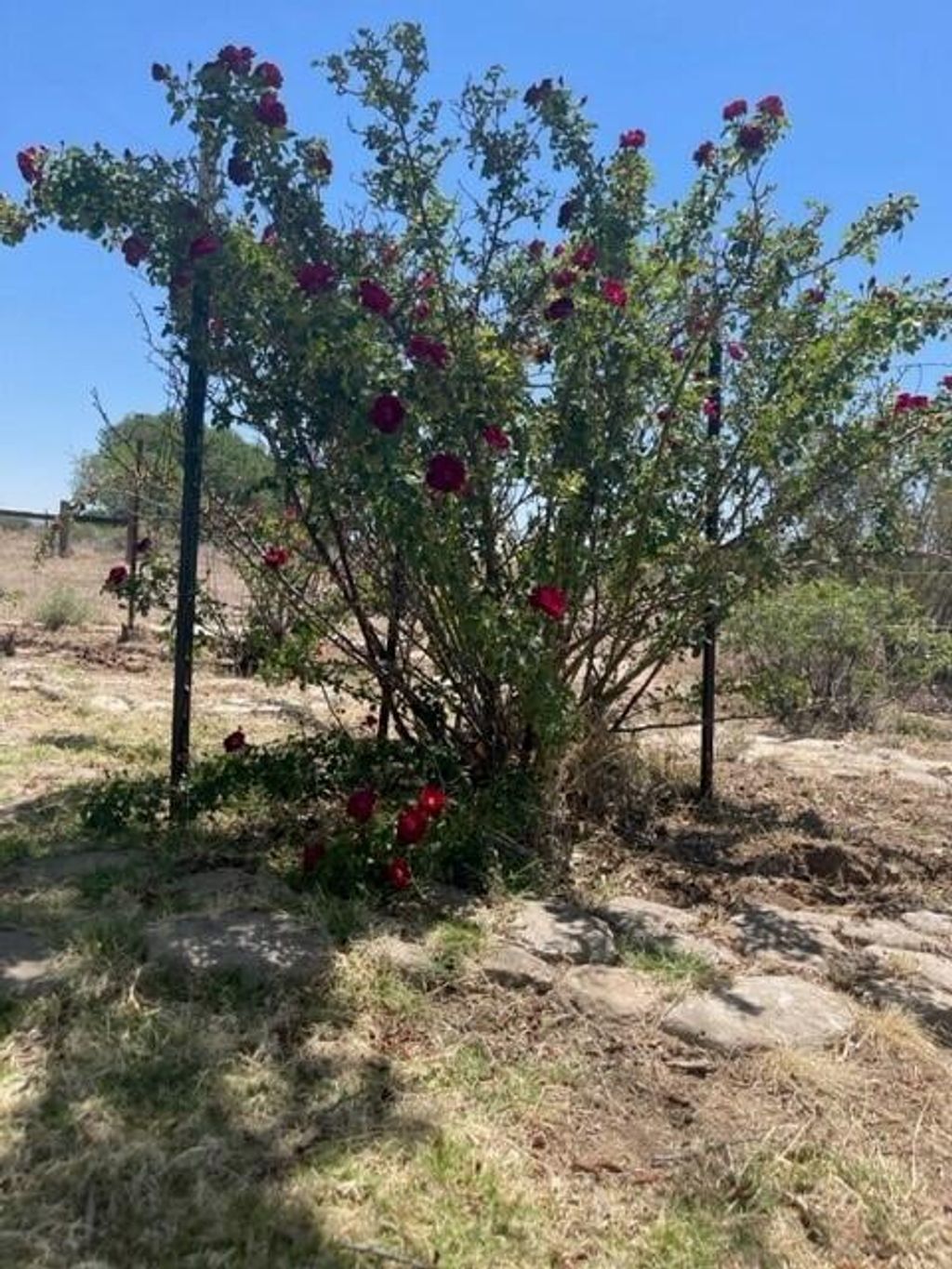 View Property 324 F Hwy 408, Lemitar, NM 87823 Jenilyn Rincones