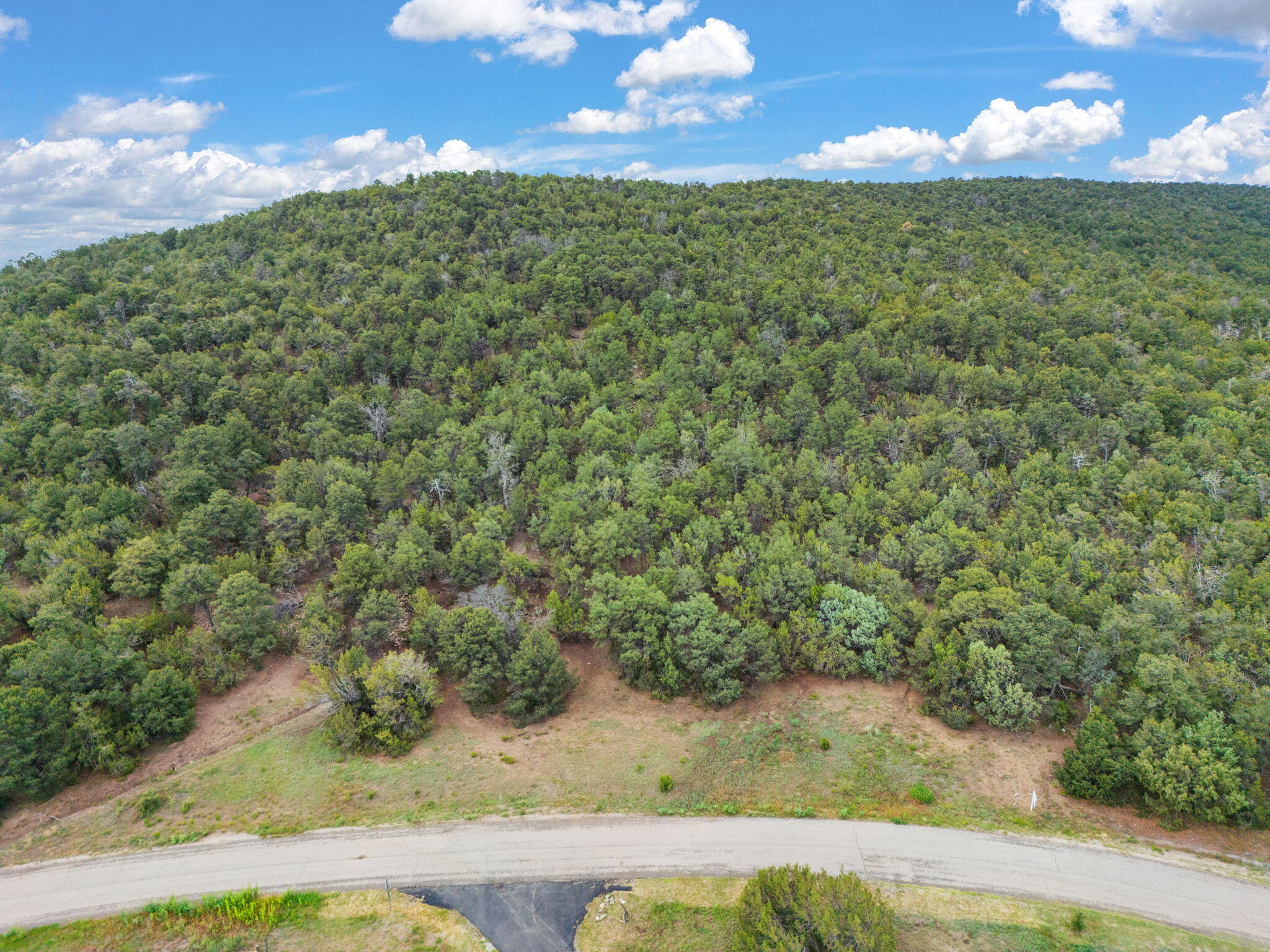 24 ANNE PICKARD Loop