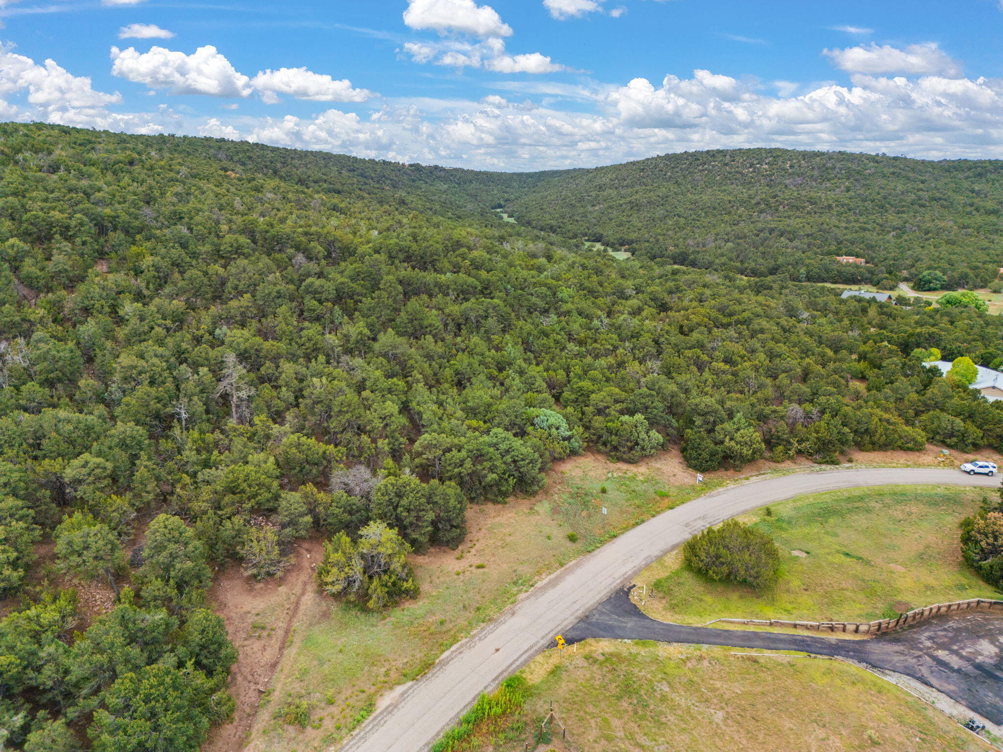 24 ANNE PICKARD Loop