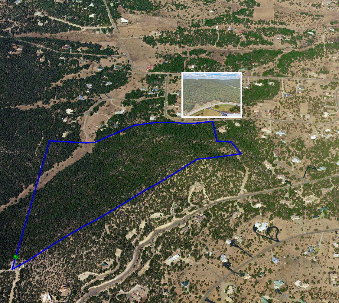 24 ANNE PICKARD Loop