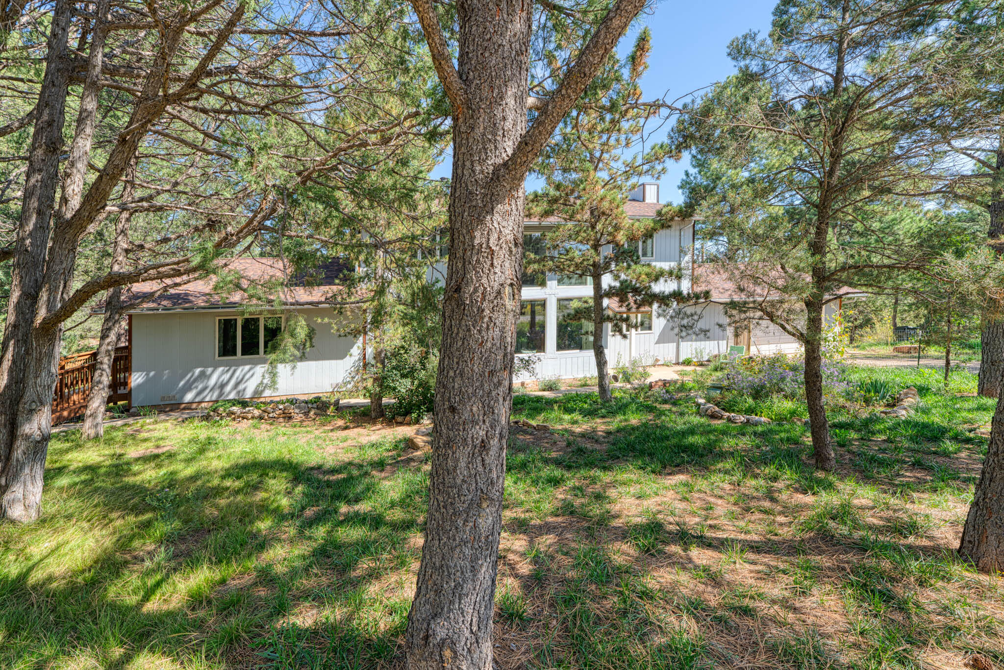 3 PINE Court