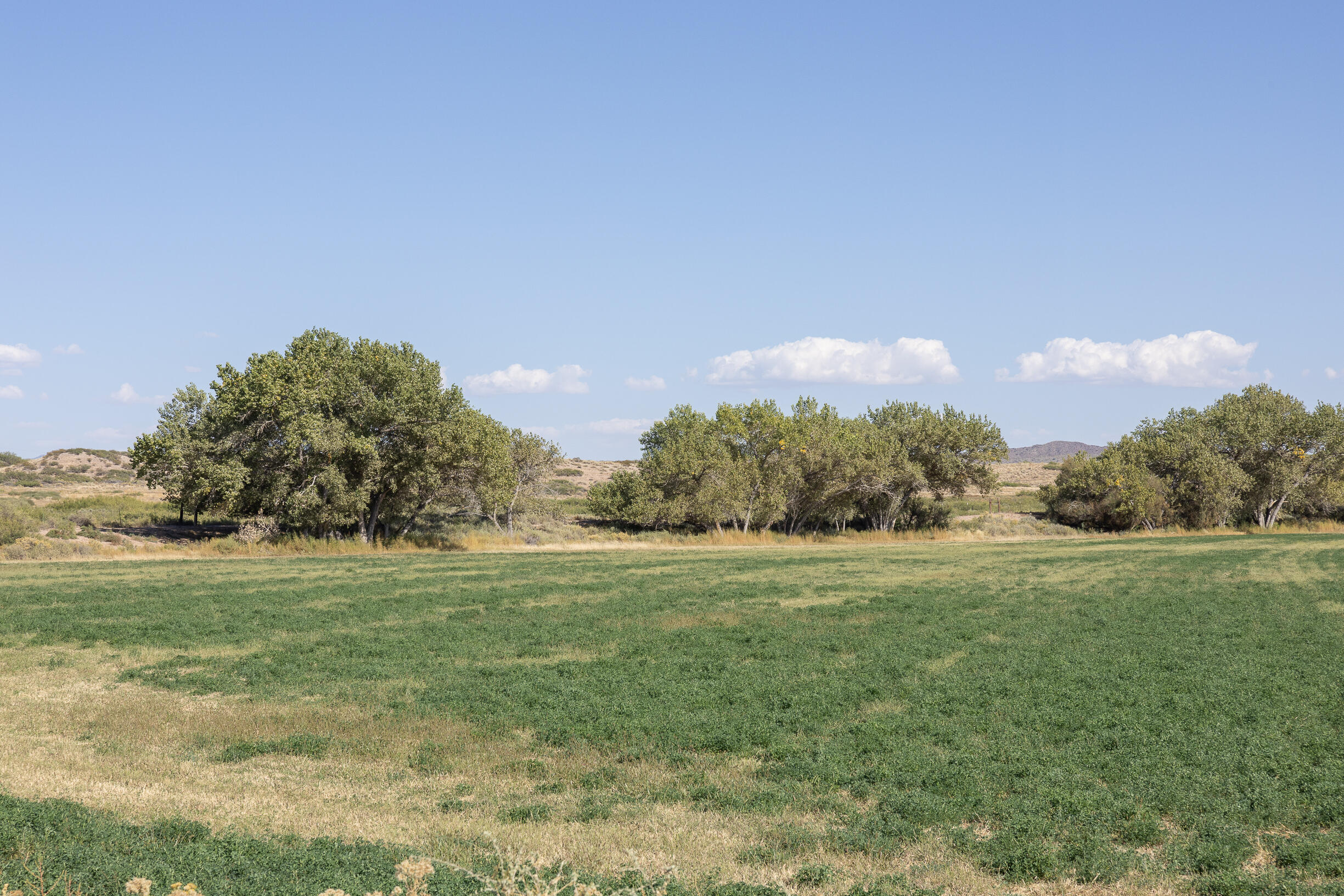 Lot 194 Rancho Rio Grande #6, Bosque, New Mexico image 5