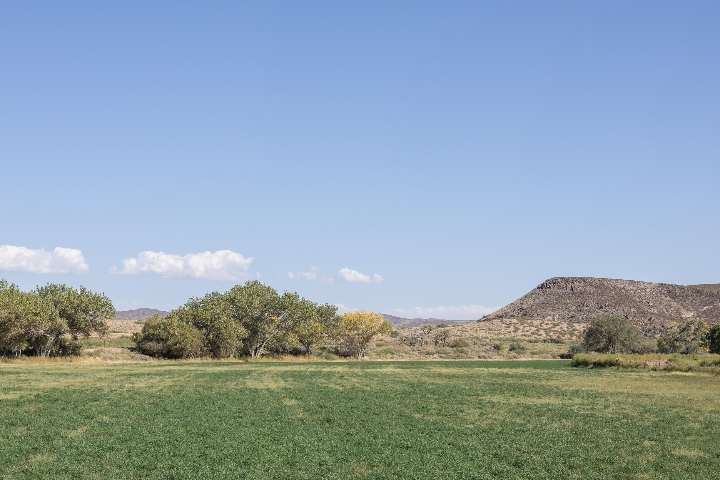 San Acacia Road, San Acacia, New Mexico image 6