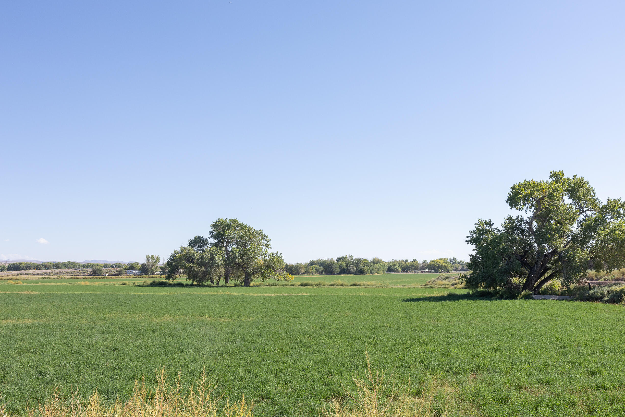 Lot 194 Rancho Rio Grande #6, Bosque, New Mexico image 2