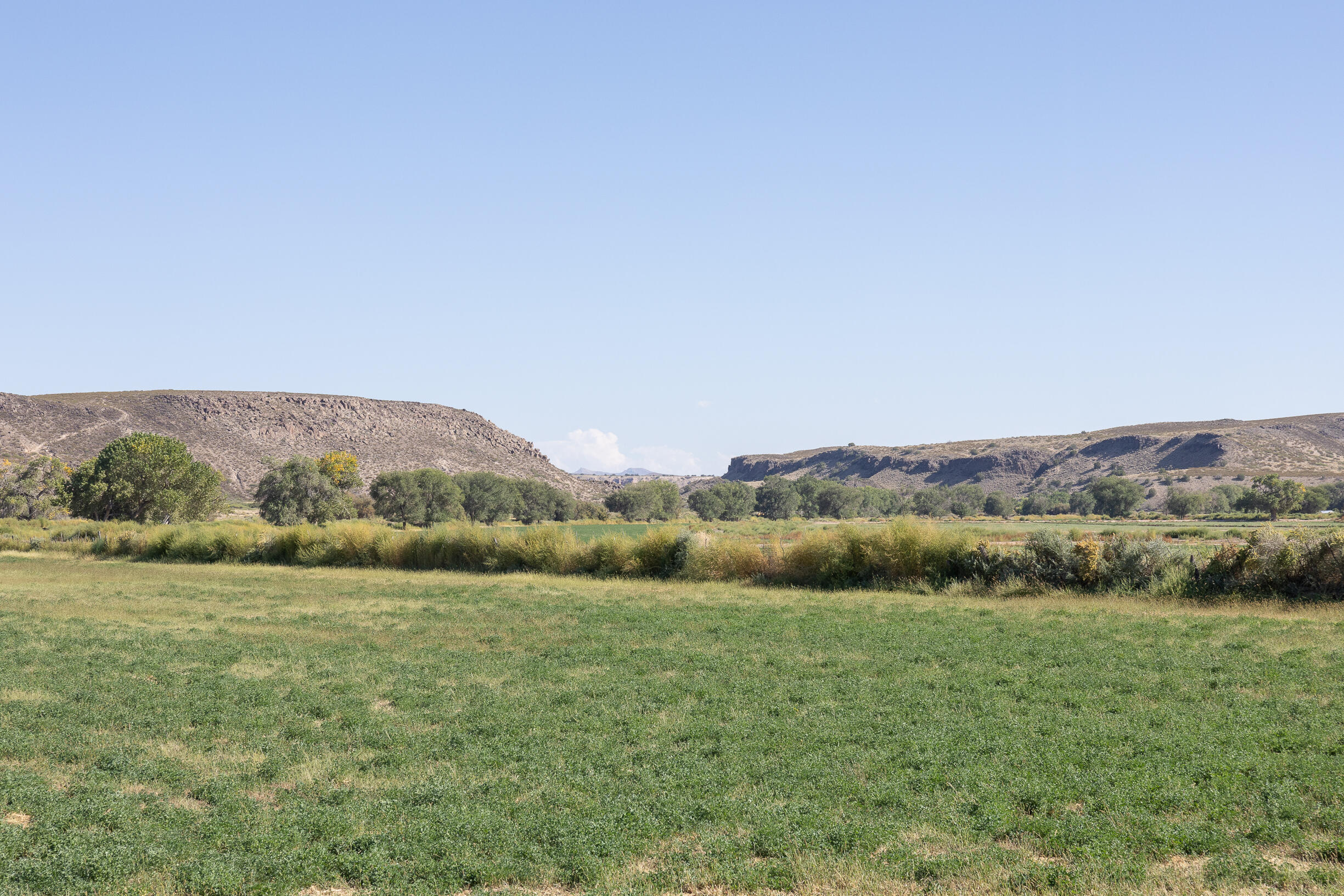 Lot 194 Rancho Rio Grande #6, Bosque, New Mexico image 4