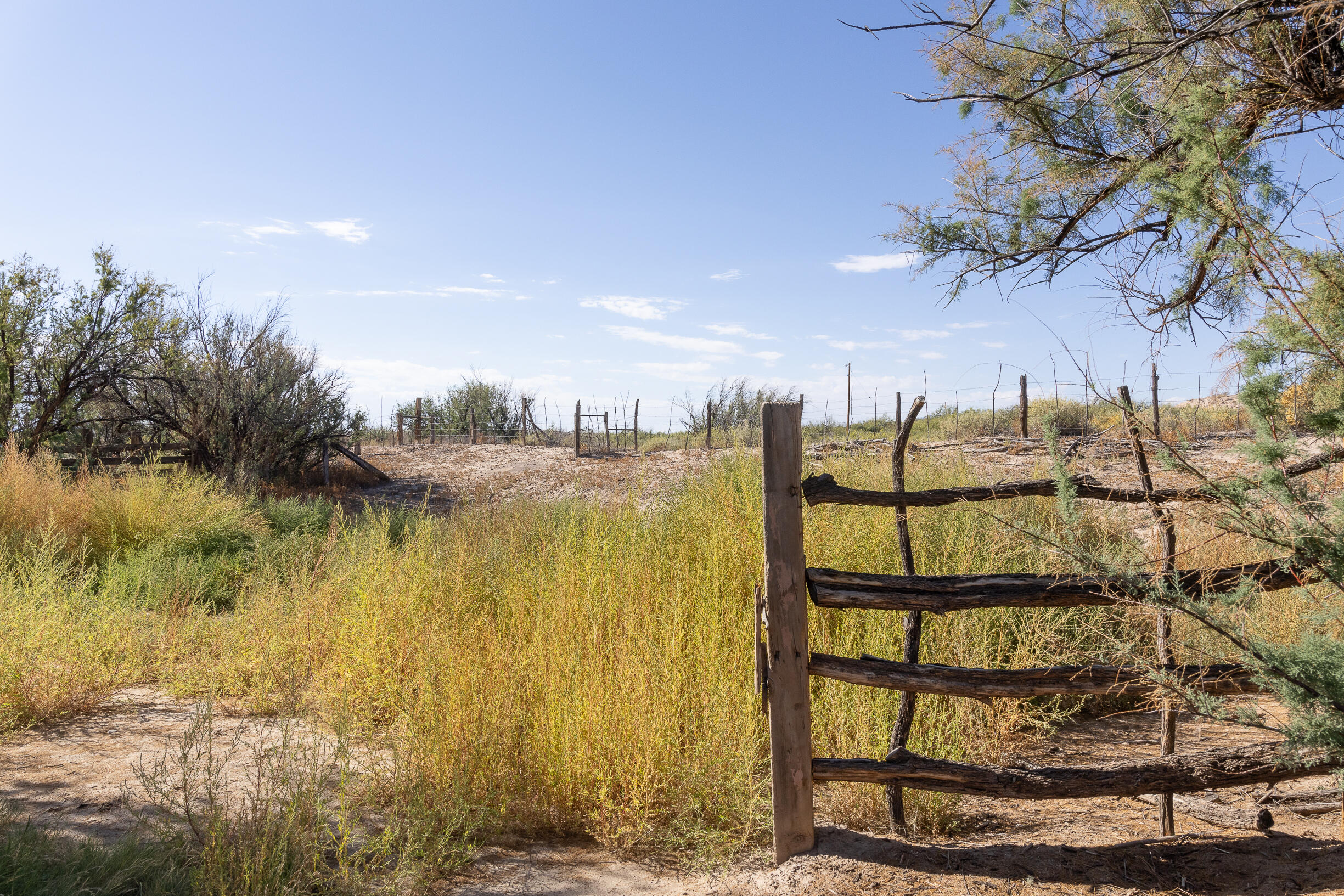 San Acacia Road, San Acacia, New Mexico image 11