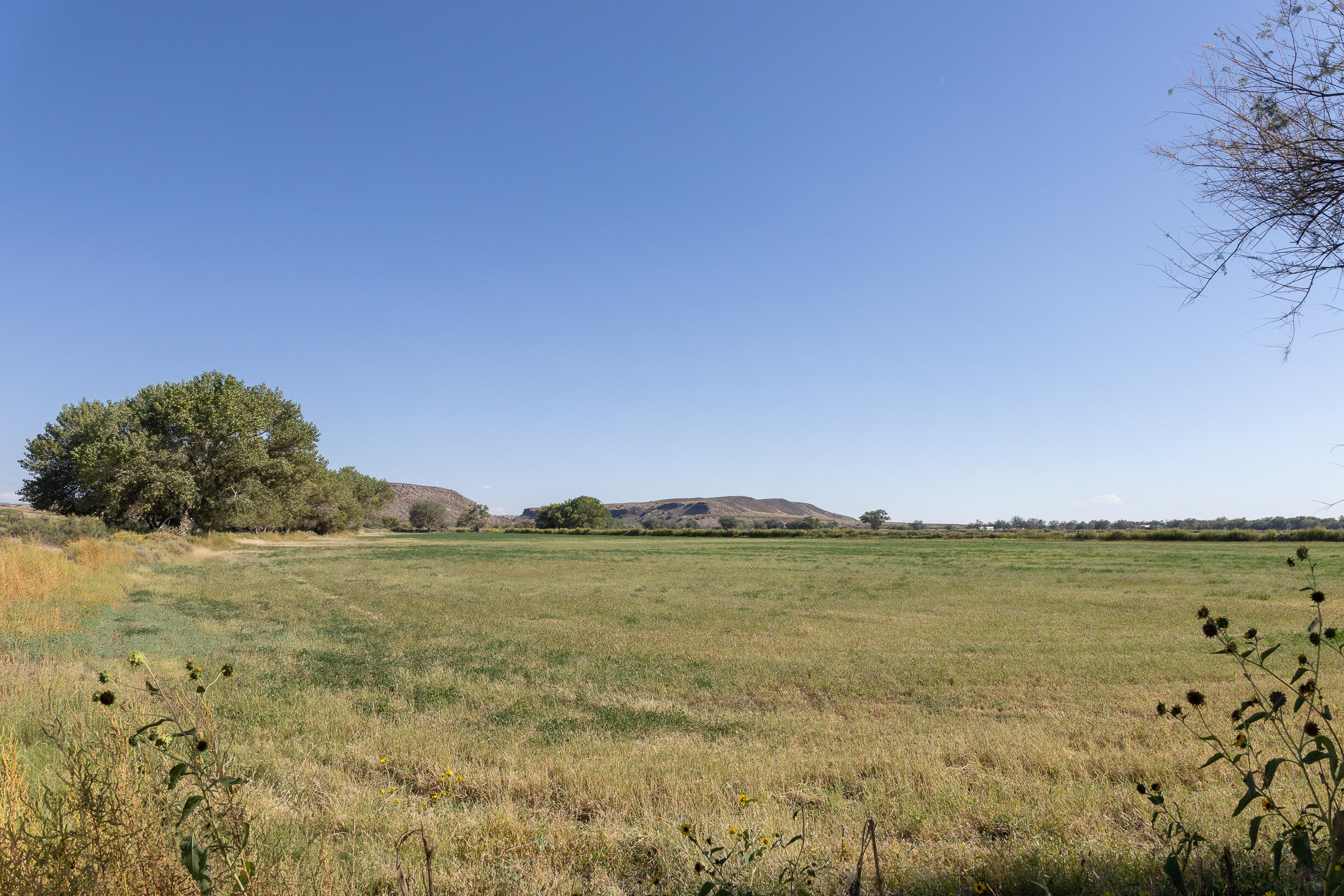 Lot 194 Rancho Rio Grande #6, Bosque, New Mexico image 10