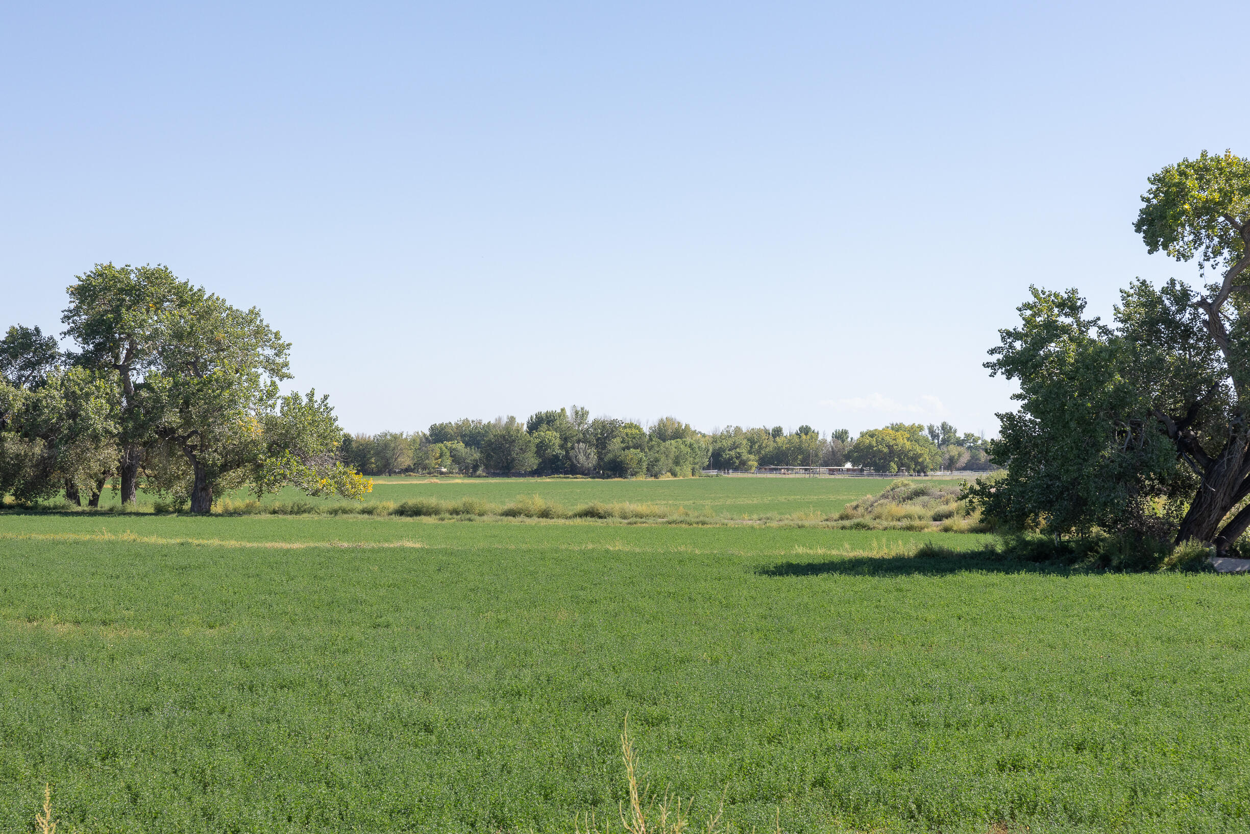 Lot 194 Rancho Rio Grande #6, Bosque, New Mexico image 1