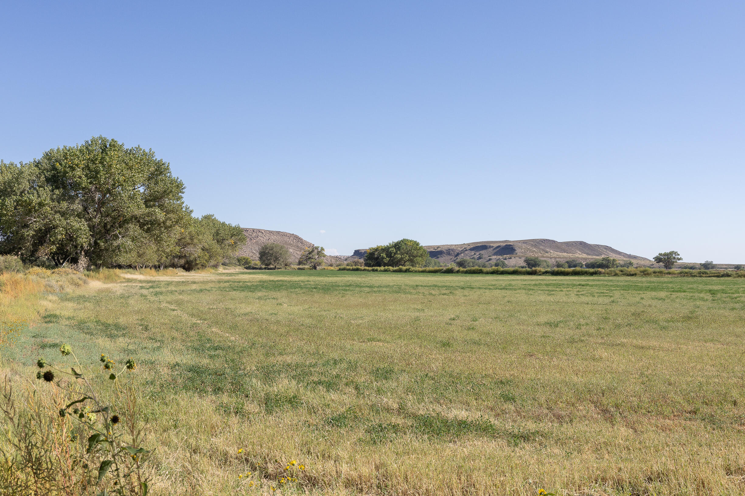 Lot 194 Rancho Rio Grande #6, Bosque, New Mexico image 9