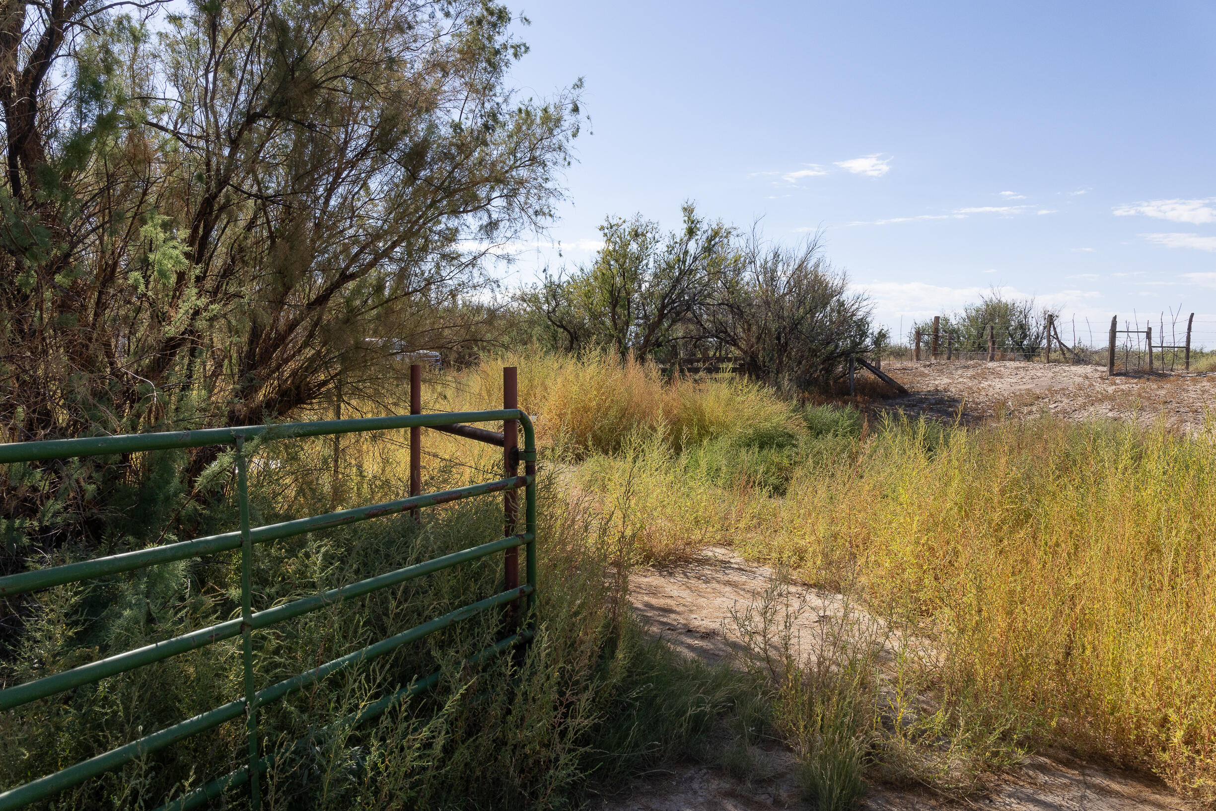 Lot 194 Rancho Rio Grande #6, Bosque, New Mexico image 12