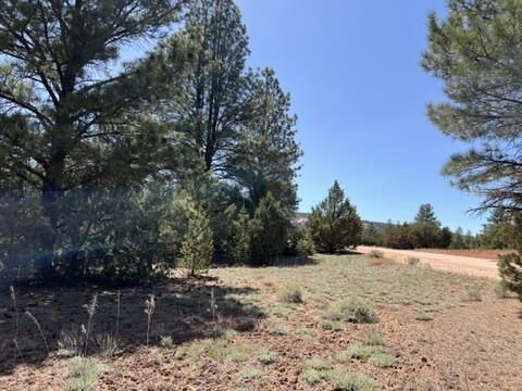 Lot 22 Timberlake Road, Ramah, New Mexico image 15