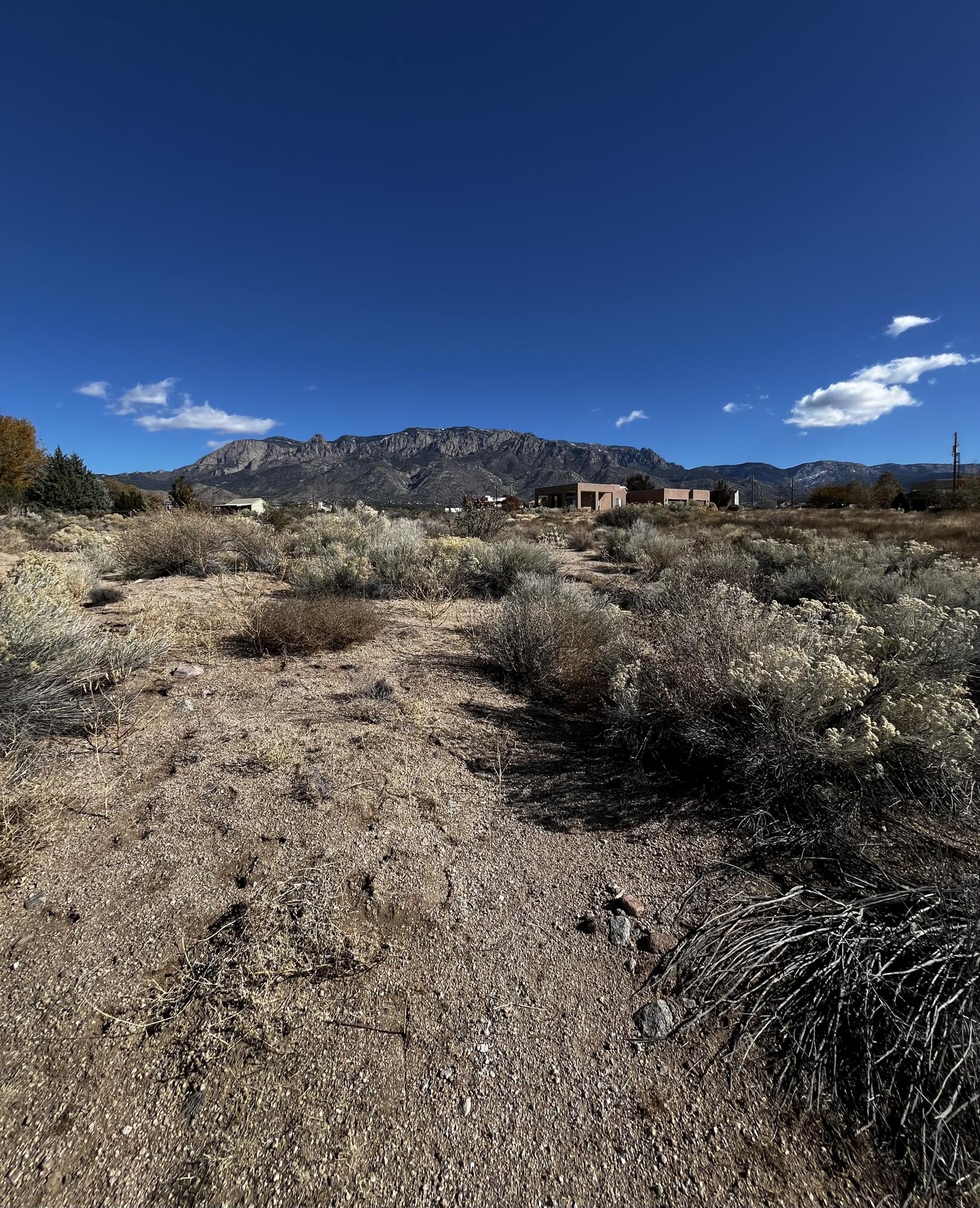 Oakland Avenue, Albuquerque, New Mexico image 7