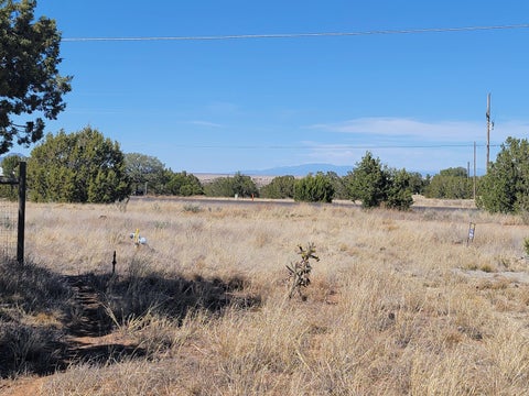Vacant Land For Sale - 2006 Nm 333<br/> Santa Fe County, Edgewood, NM 87015