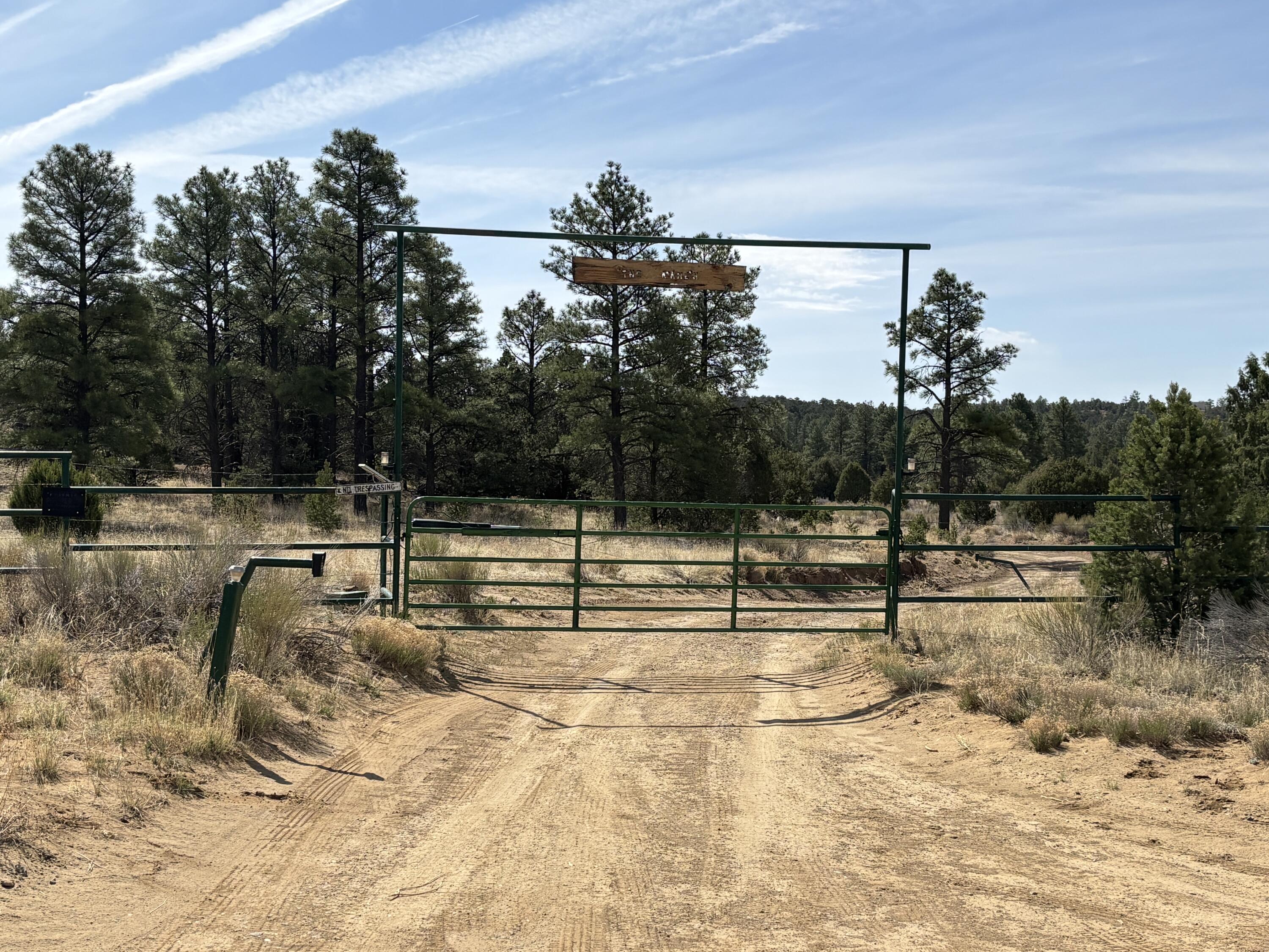 994 Wild Horse Ranch Rd Rd, Pie Town, New Mexico image 1