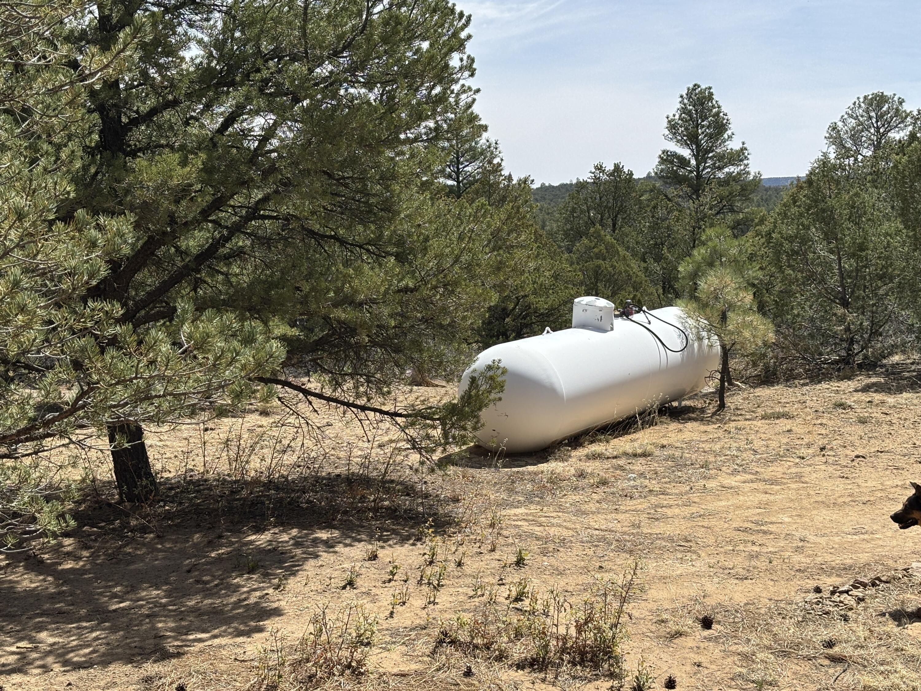 994 Wild Horse Ranch Rd Rd, Pie Town, New Mexico image 28