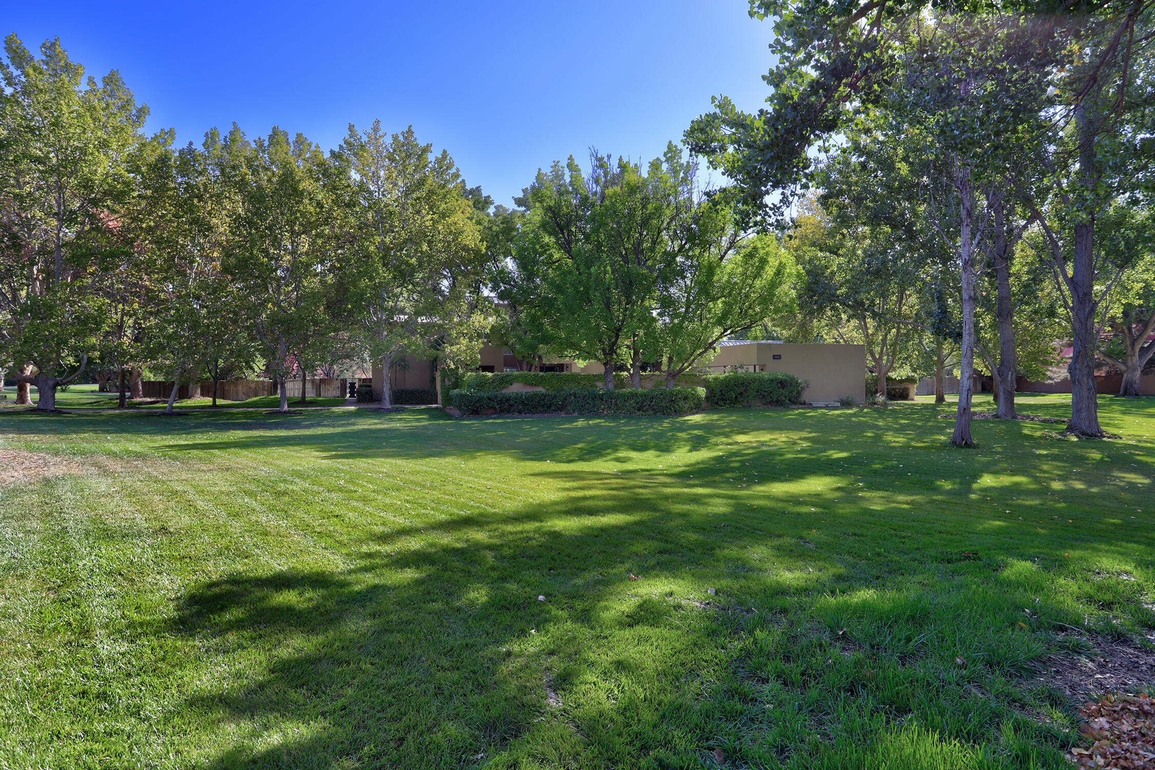 1608 Narcisa Court, Los Ranchos, New Mexico image 4