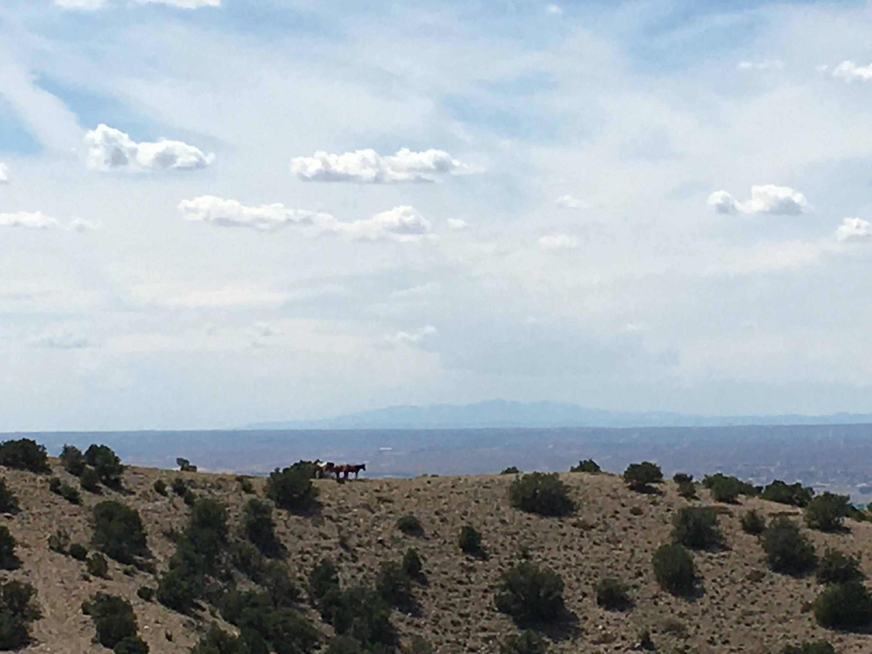Photo 1 of 6 — Unit 3 Camino Halcon, Placitas, NM 87043
