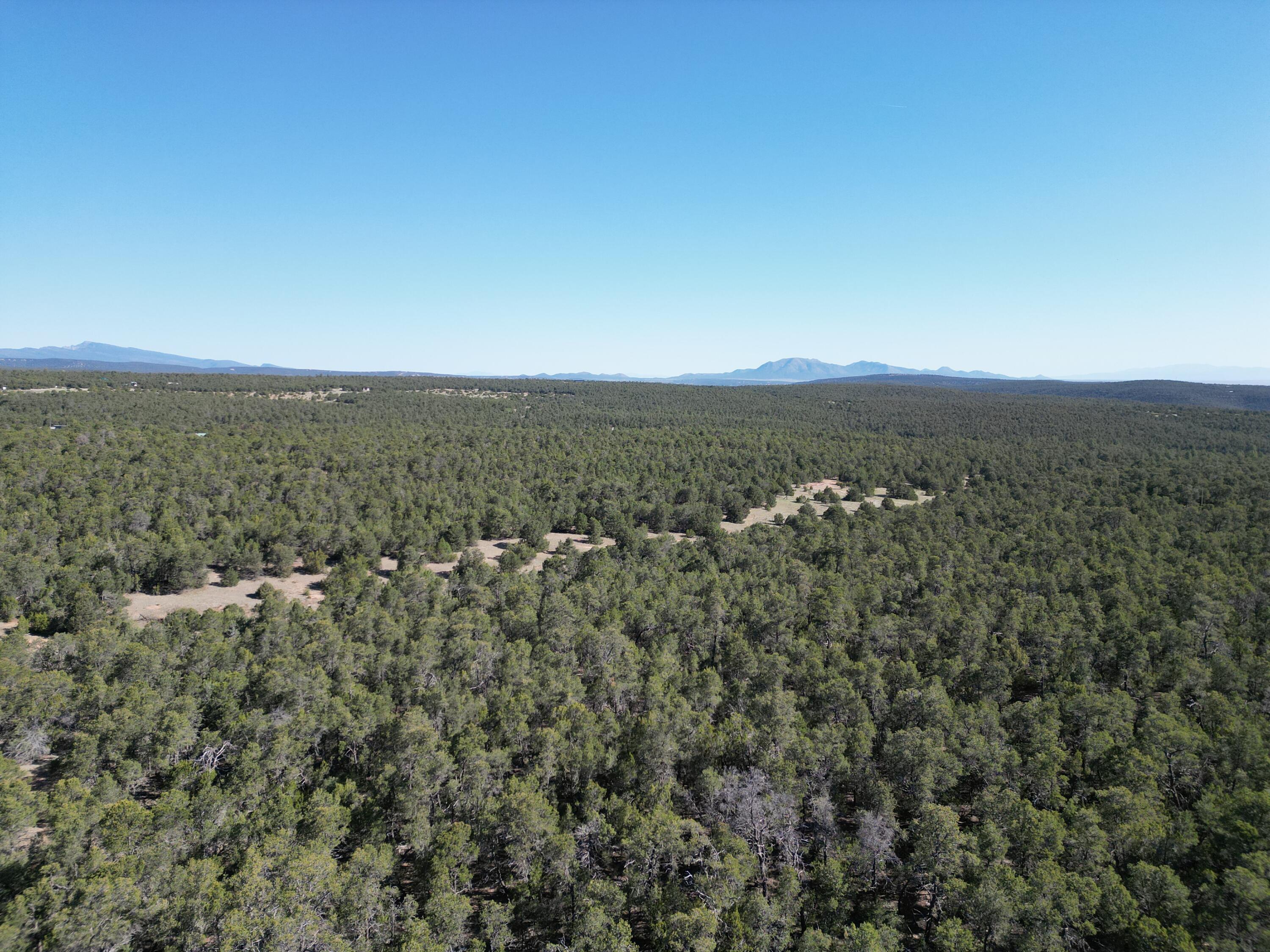 Tract 4 Gonzales, Edgewood, New Mexico image 3
