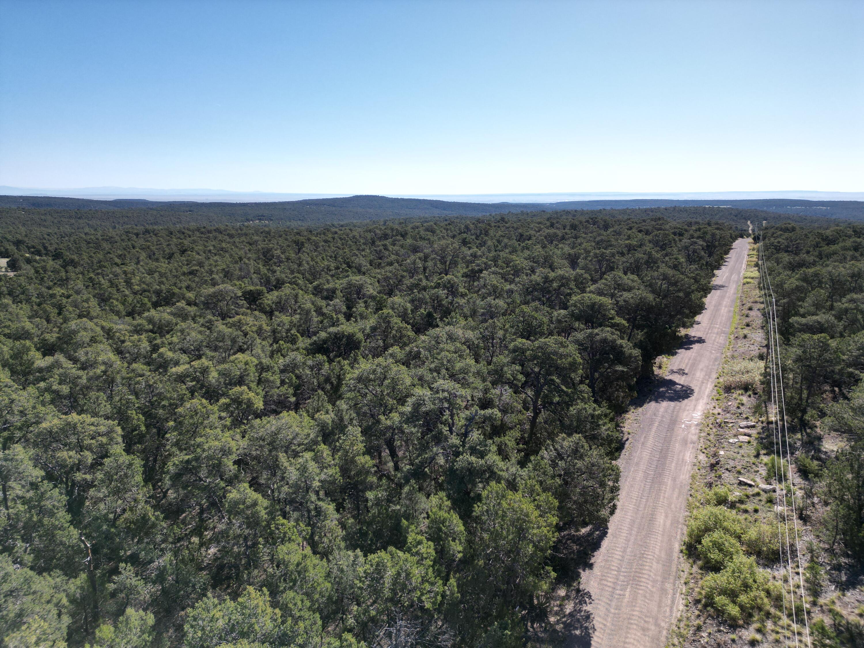 Tract 4 Gonzales, Edgewood, New Mexico image 1