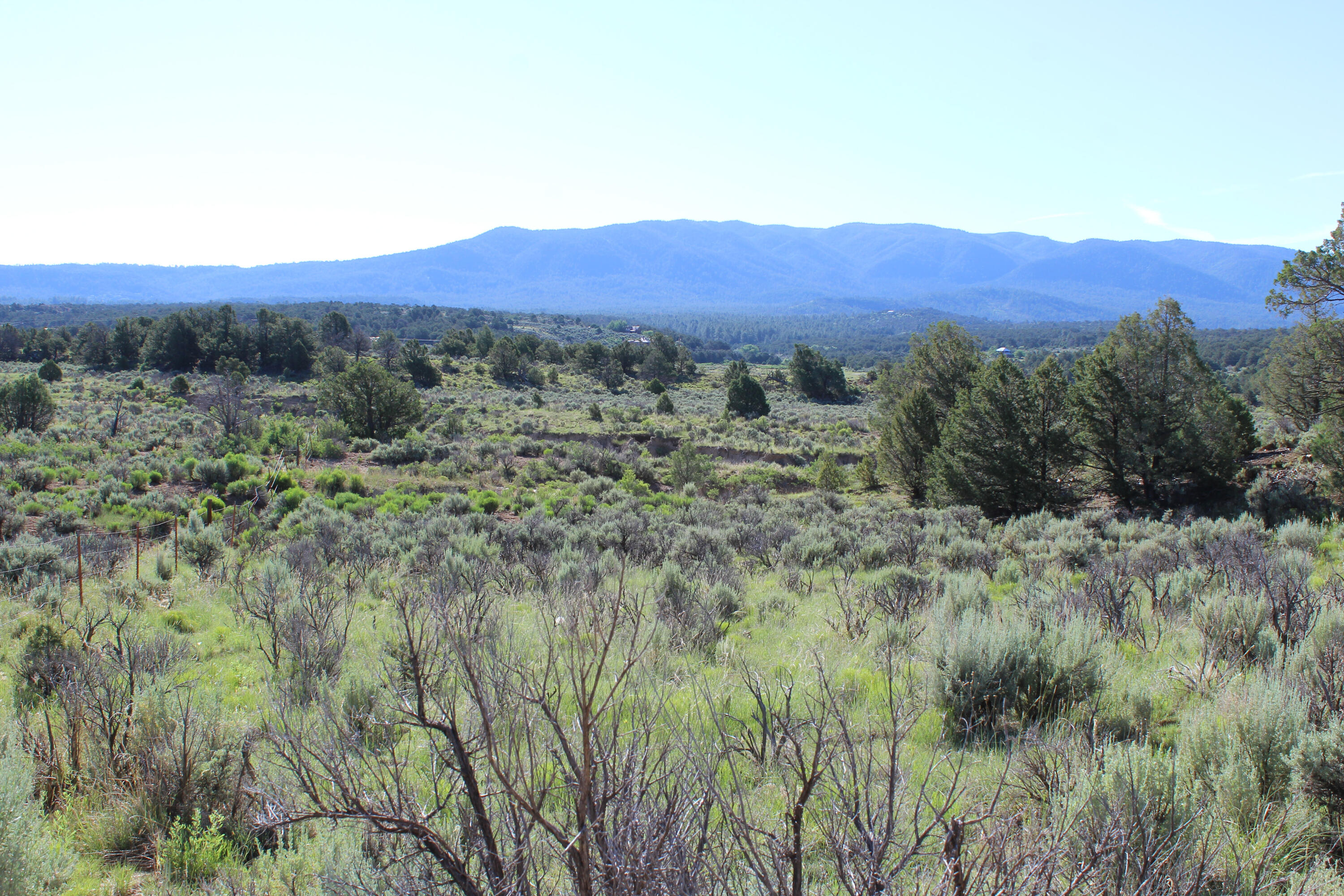 Tbd Nm State Road 96, Regina, New Mexico image 23