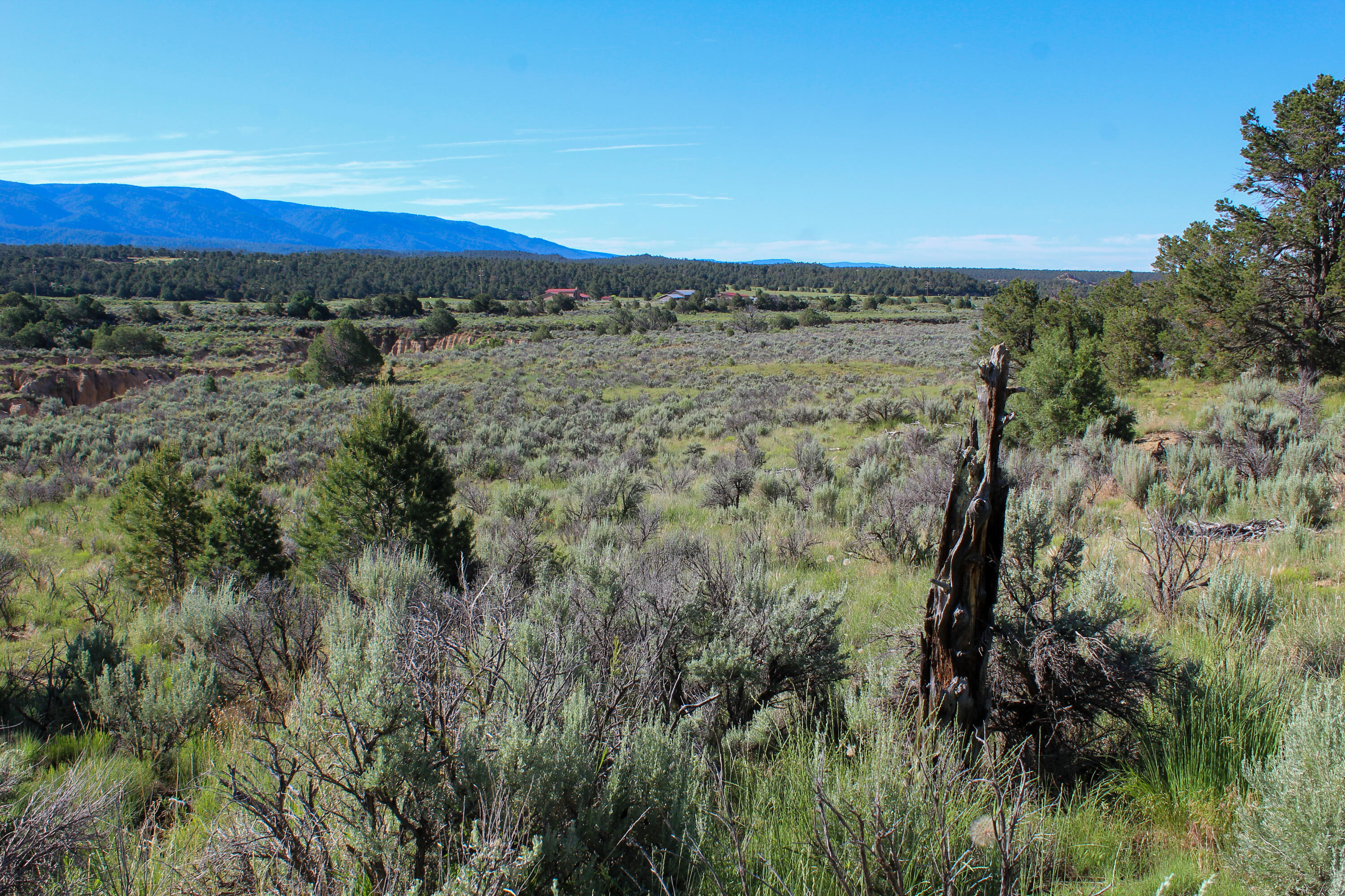 Tbd Nm State Road 96, Regina, New Mexico image 28