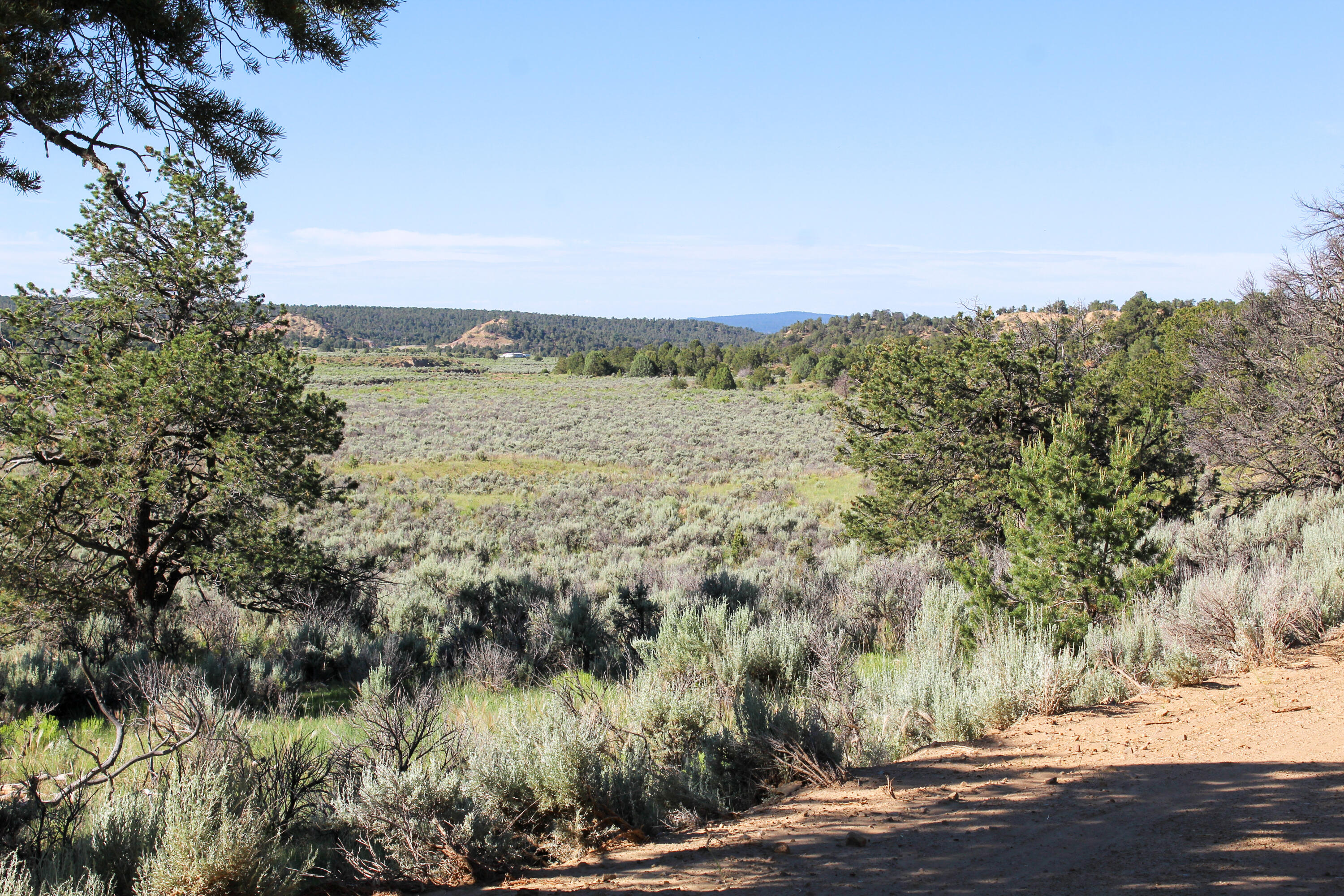 Tbd Nm State Road 96, Regina, New Mexico image 24